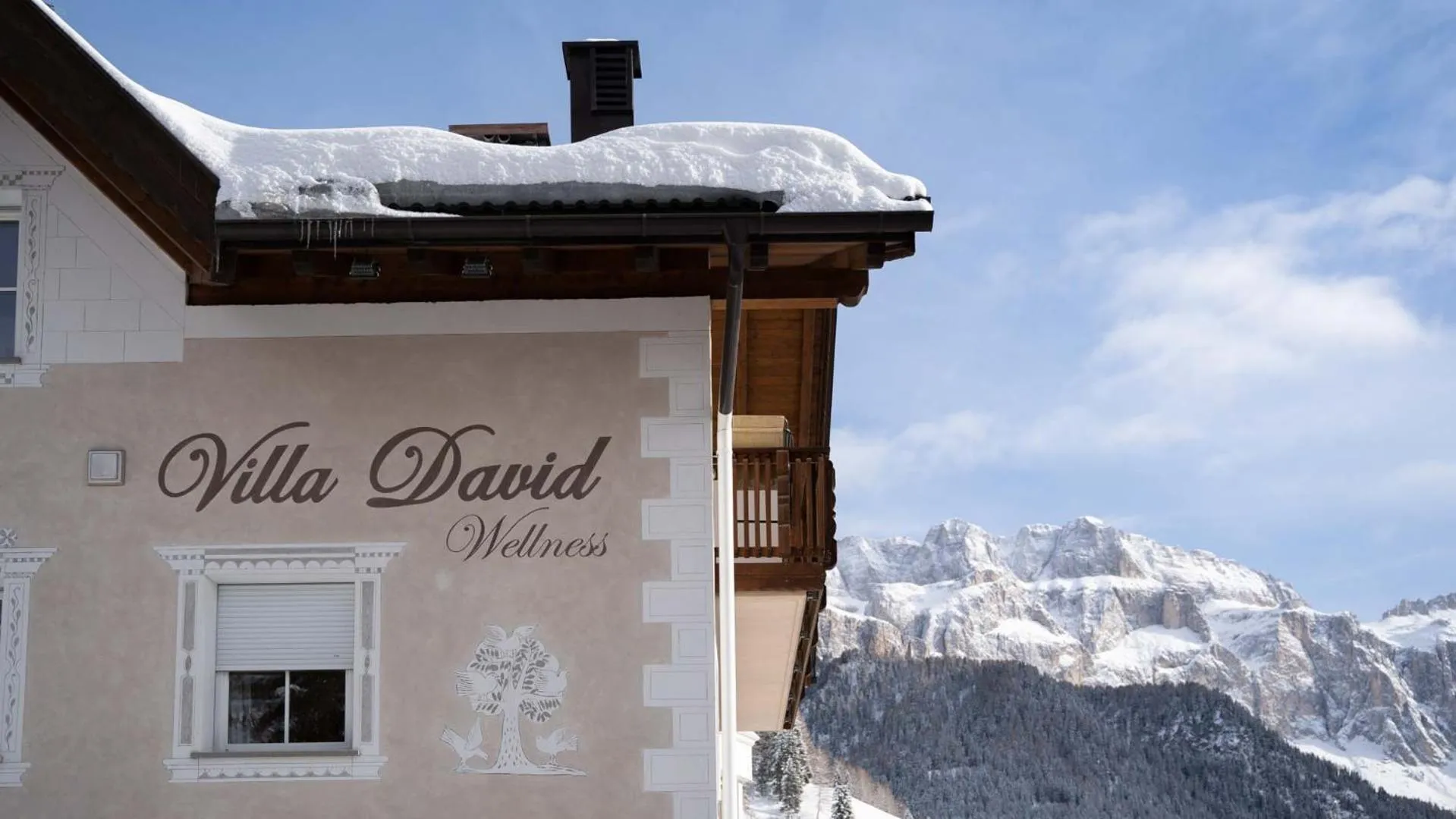 Villa David Dolomites