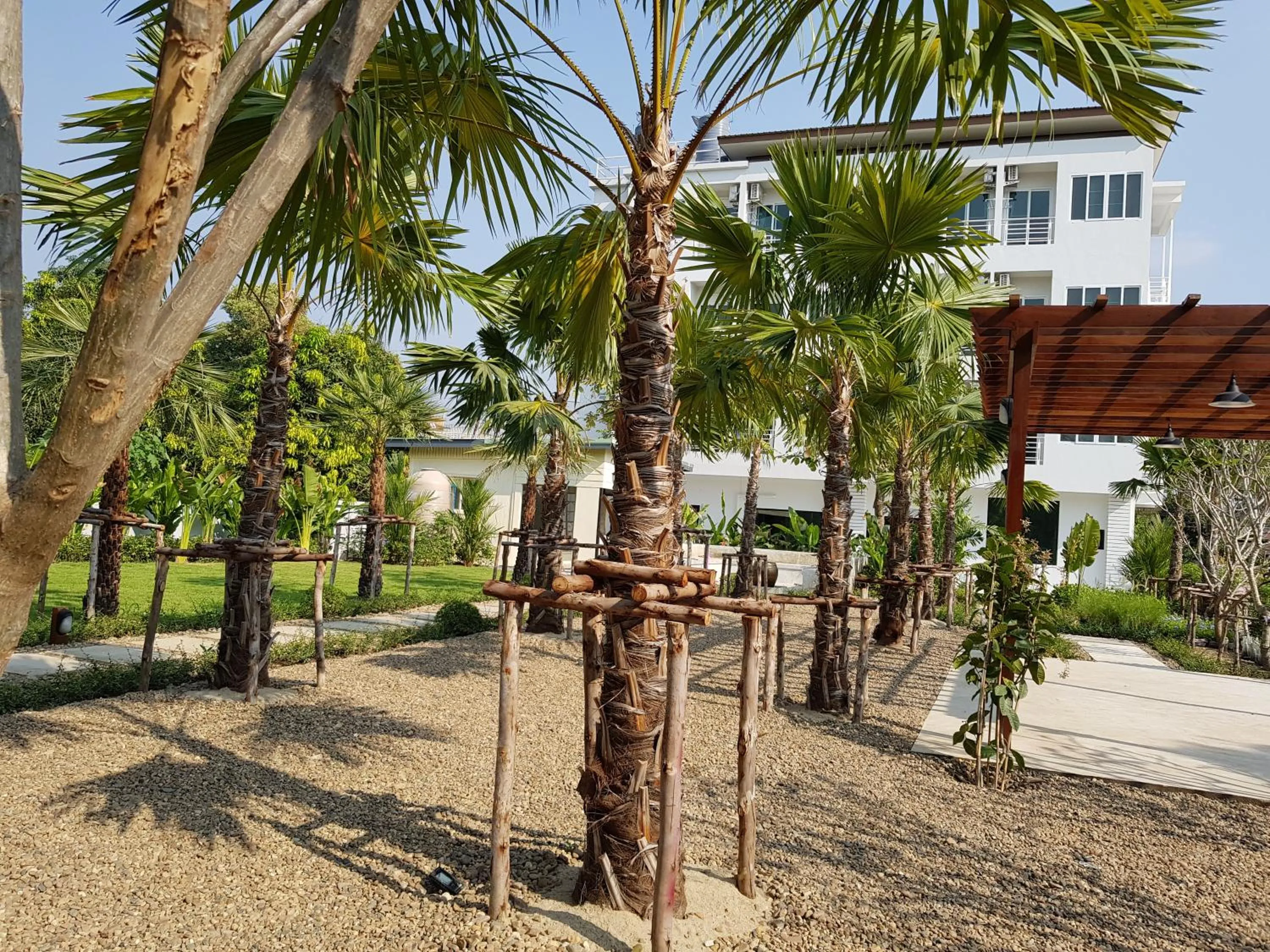 Garden in Chez Bure - Bure Homestay