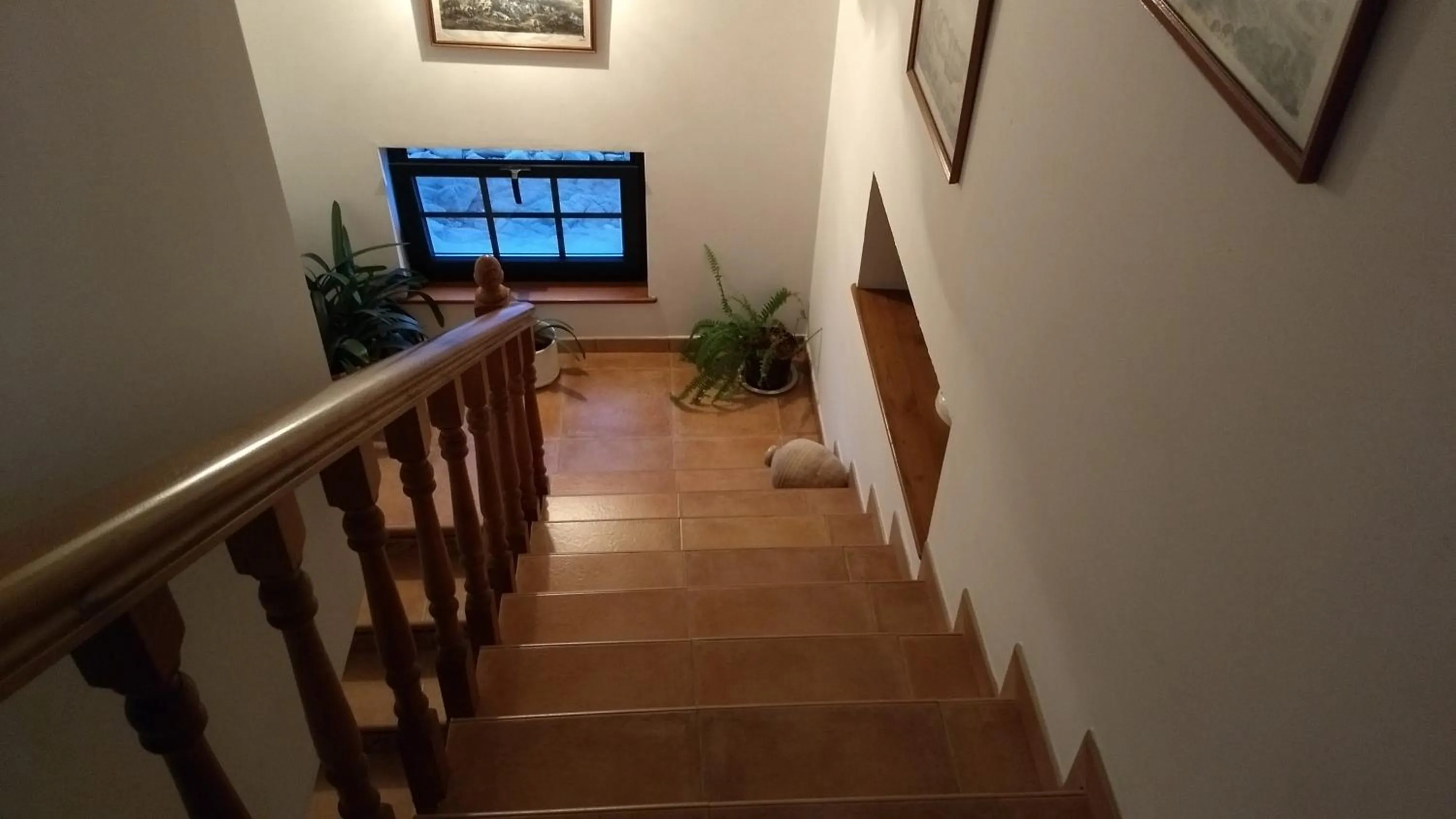 Apartamentos O Almacen