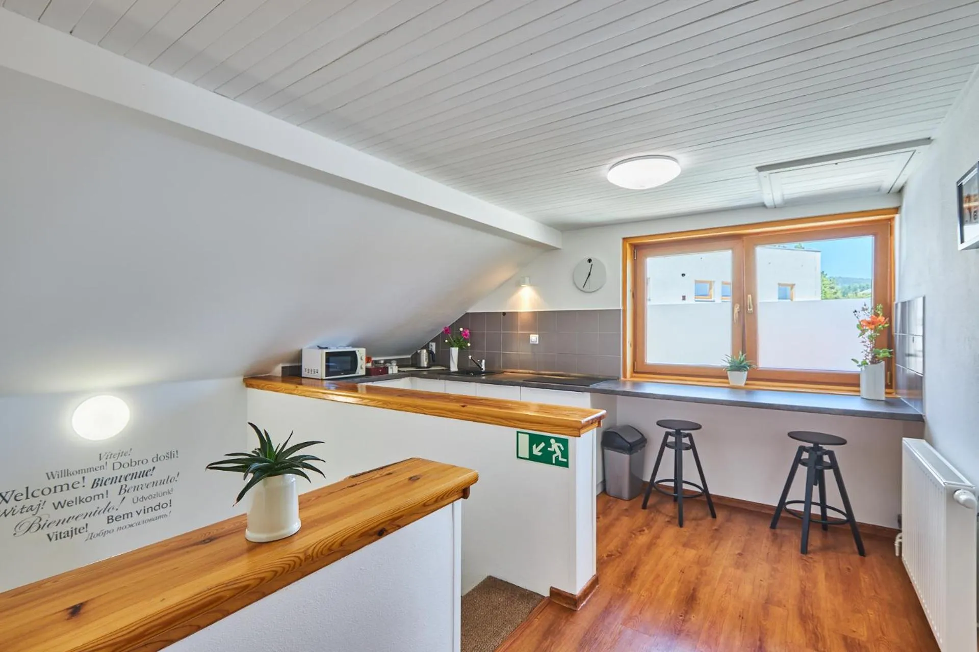 Kitchen or kitchenette in Villa Gap apartments