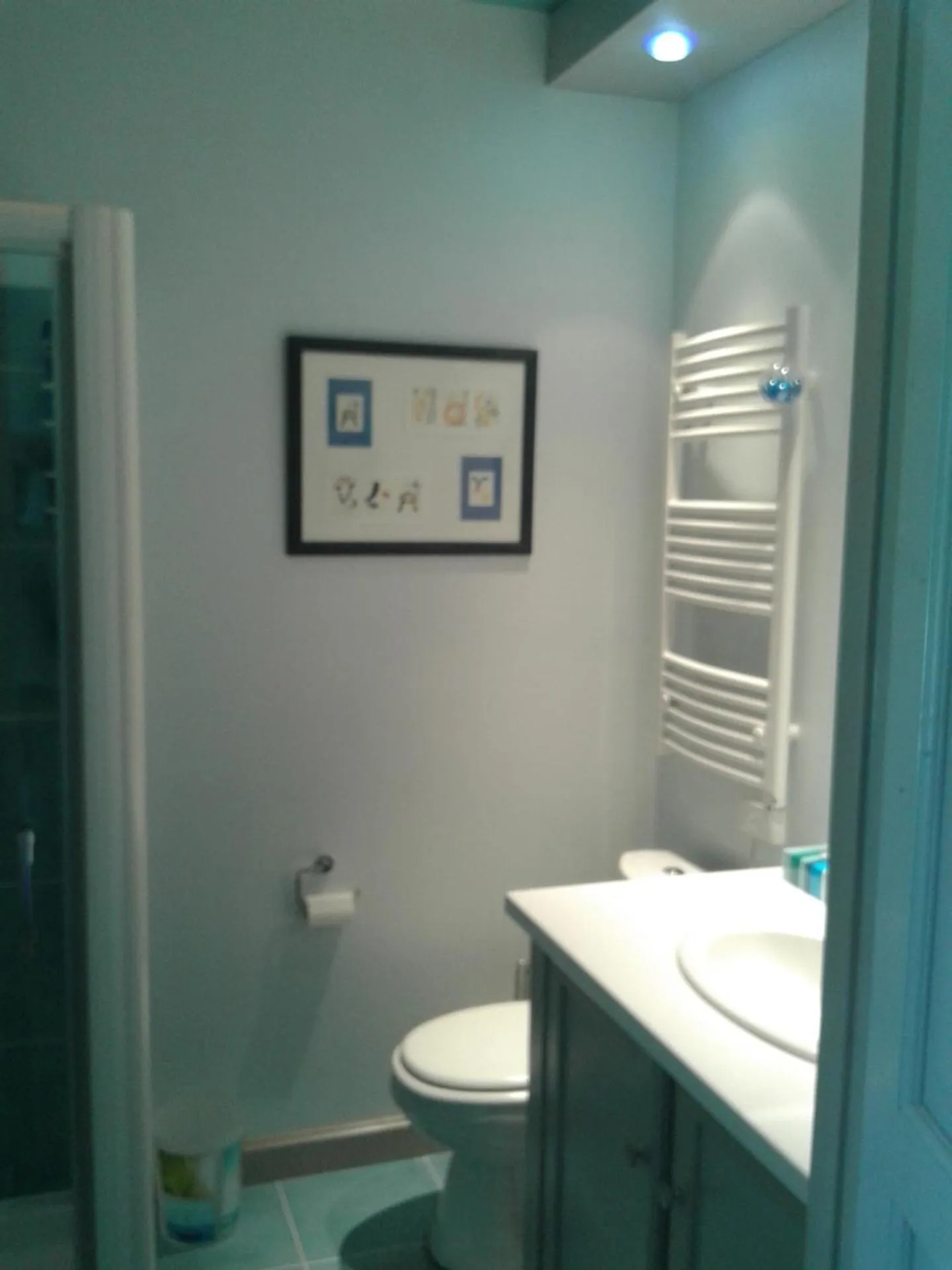 Bathroom in Villa Florida