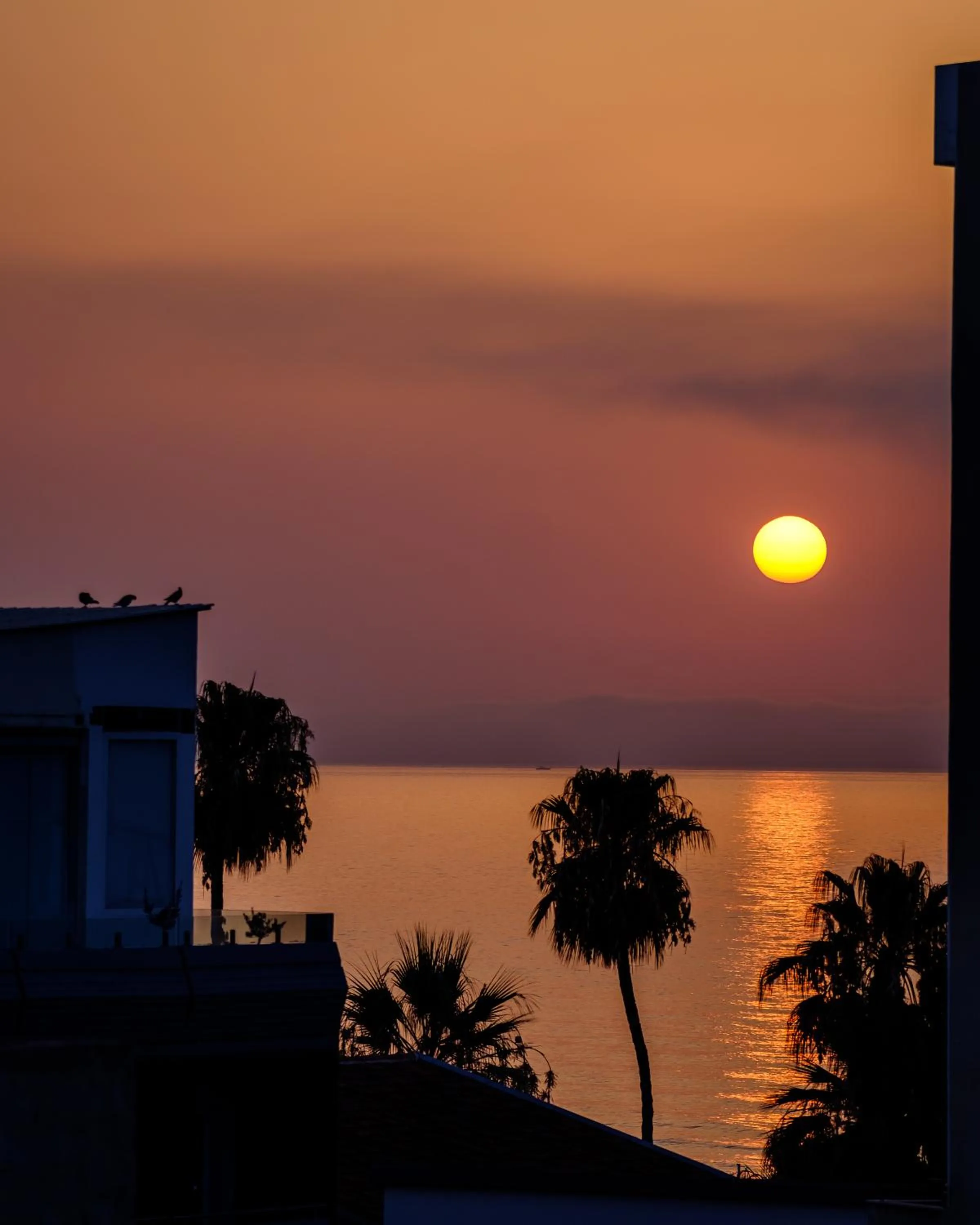 Sunrise in Art & Wine Boutique Hotel