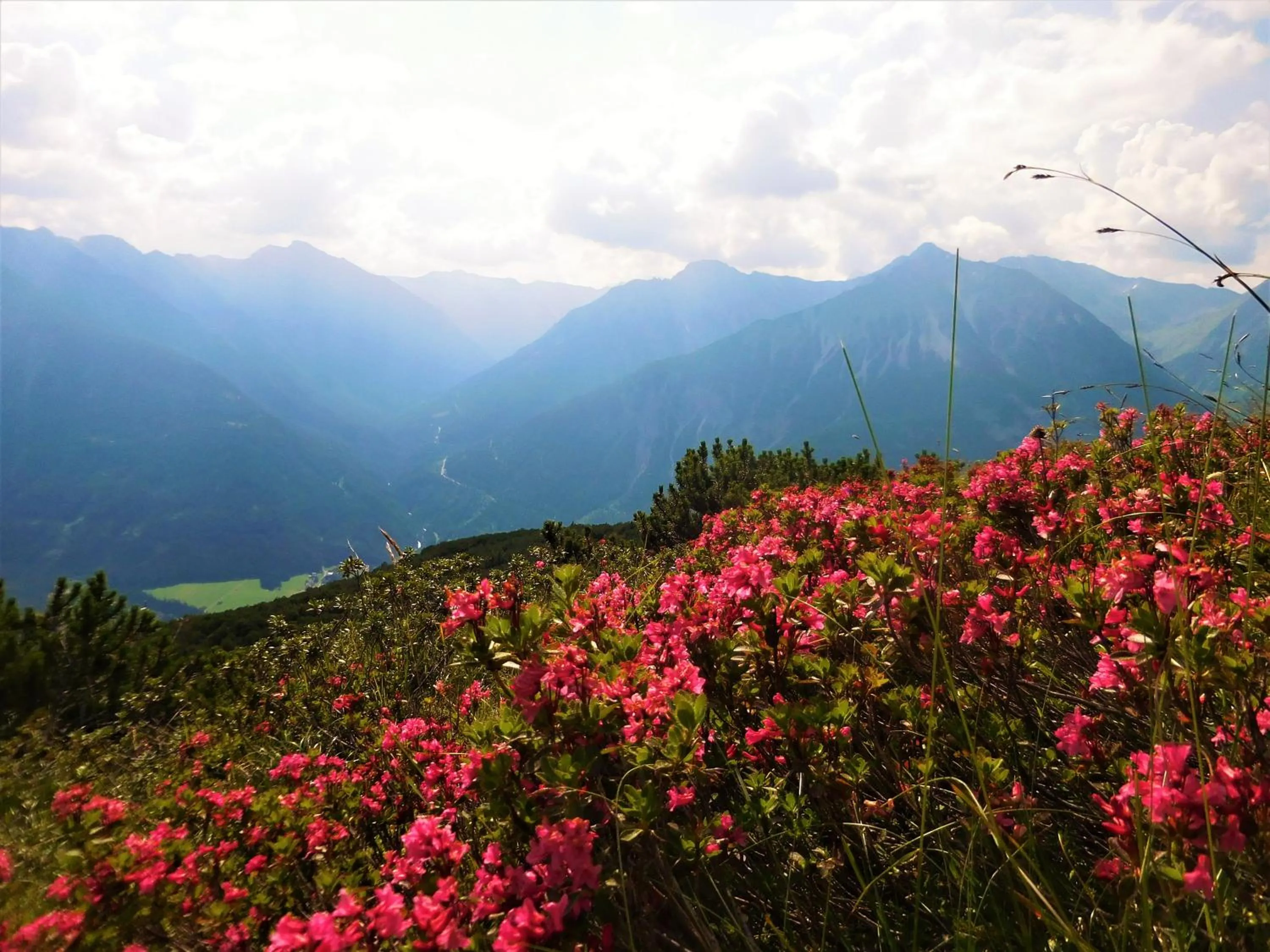 Summer in Hotel Styrolerhof