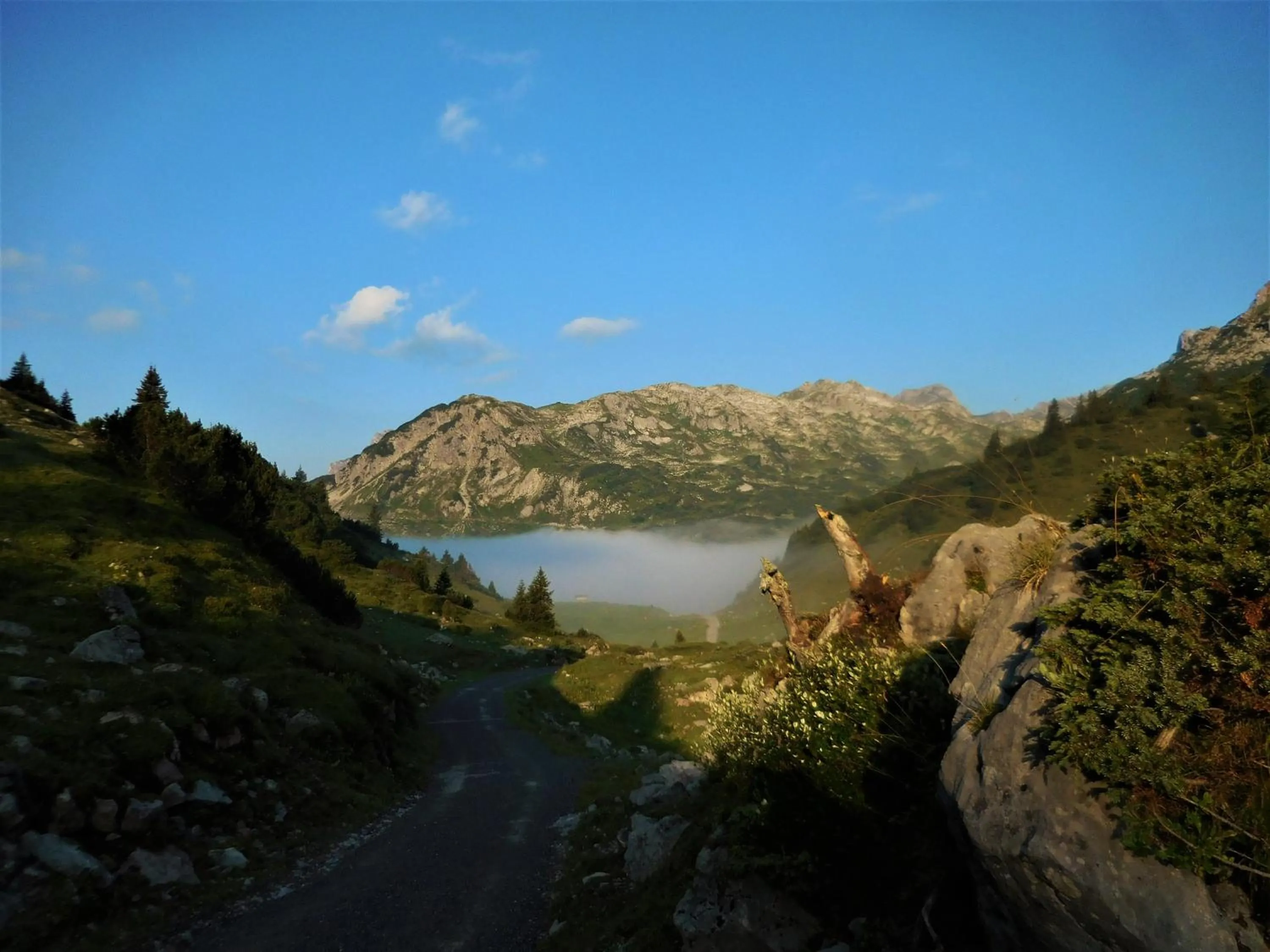 Summer in Hotel Styrolerhof