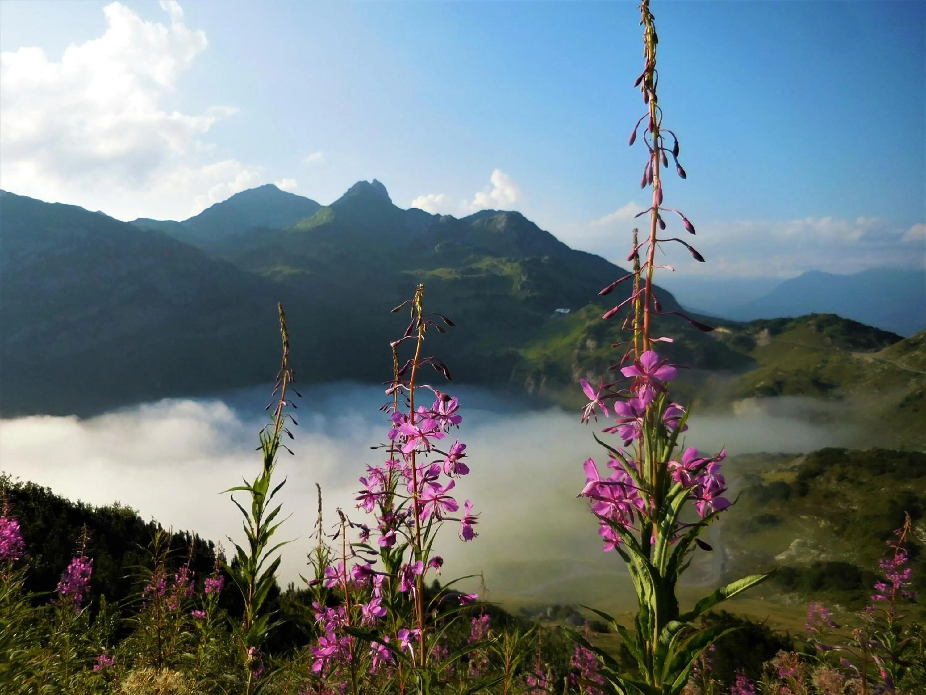 Summer in Hotel Styrolerhof