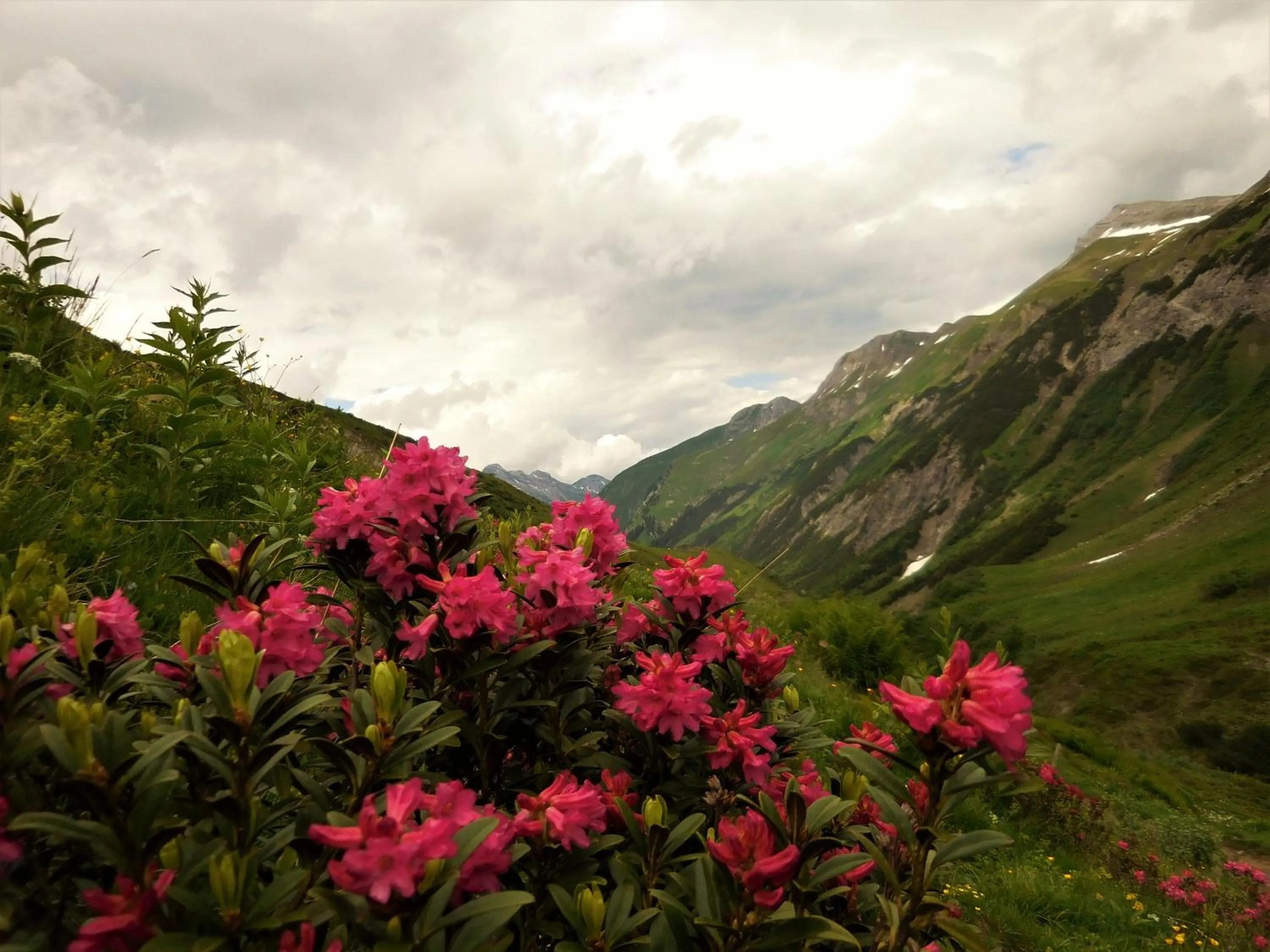 Summer in Hotel Styrolerhof