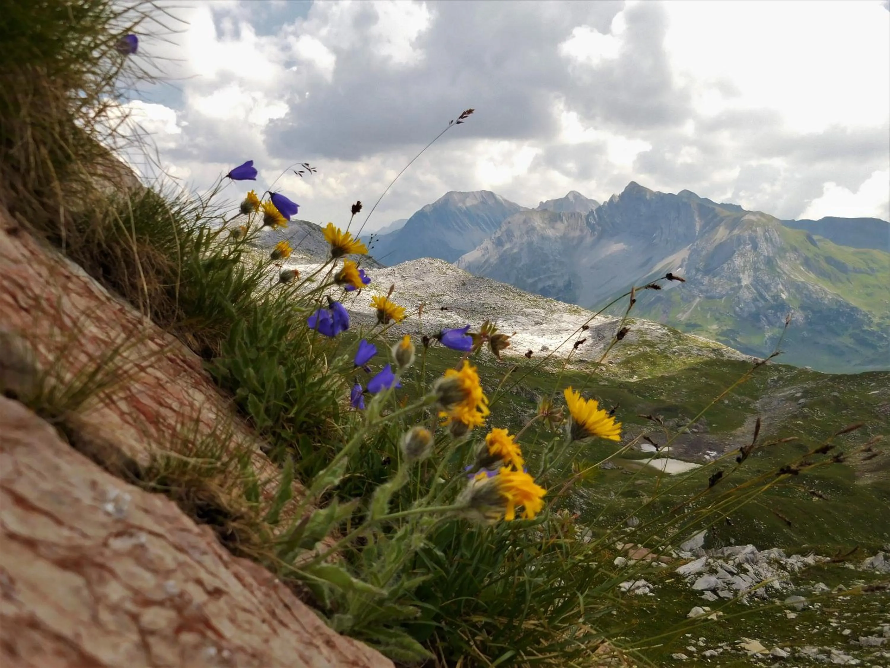 Summer in Hotel Styrolerhof