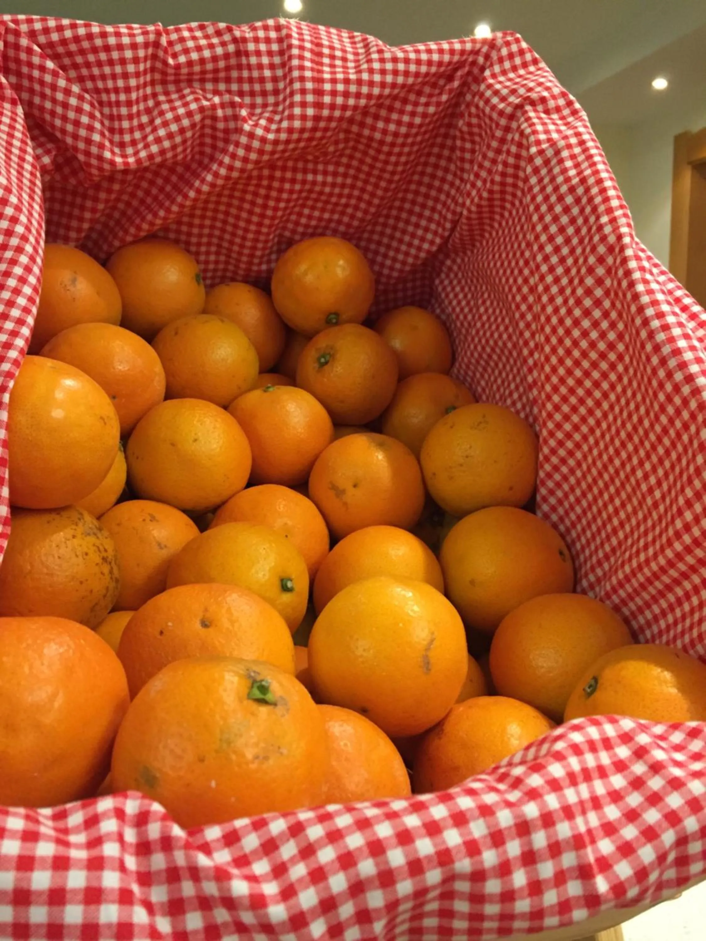 Breakfast in Hotel Styrolerhof