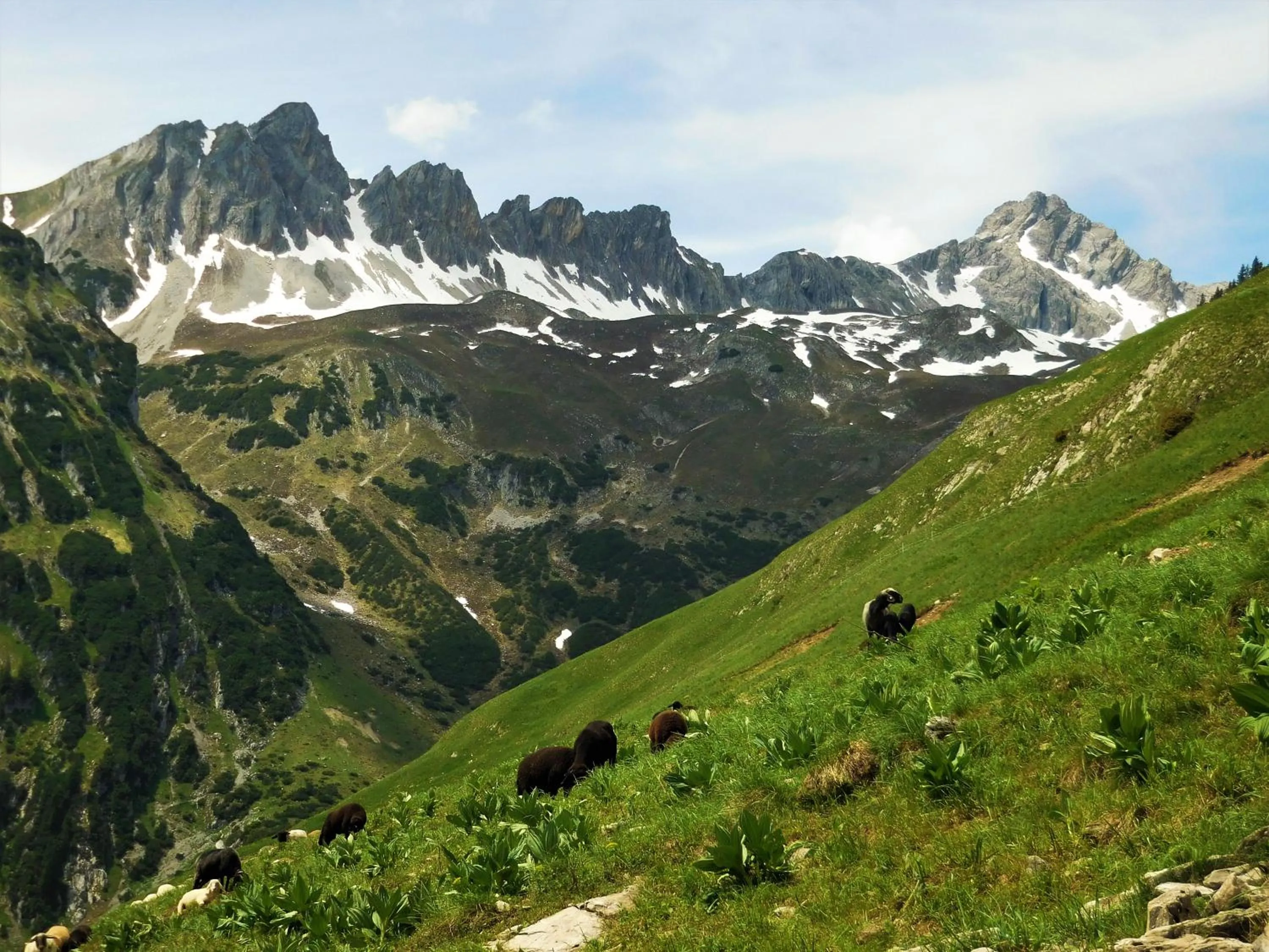 Summer in Hotel Styrolerhof