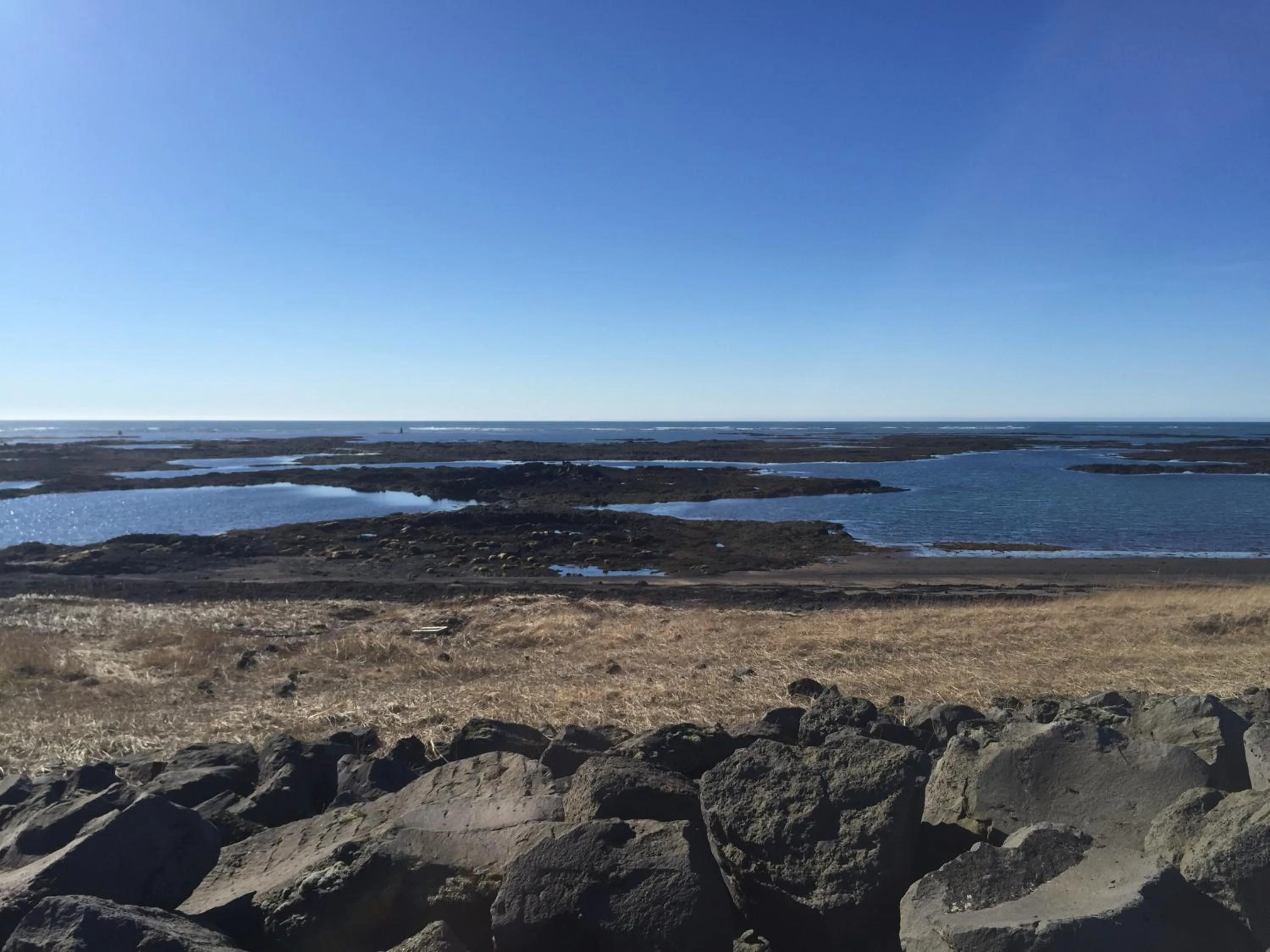 Ocean Beach Apartments