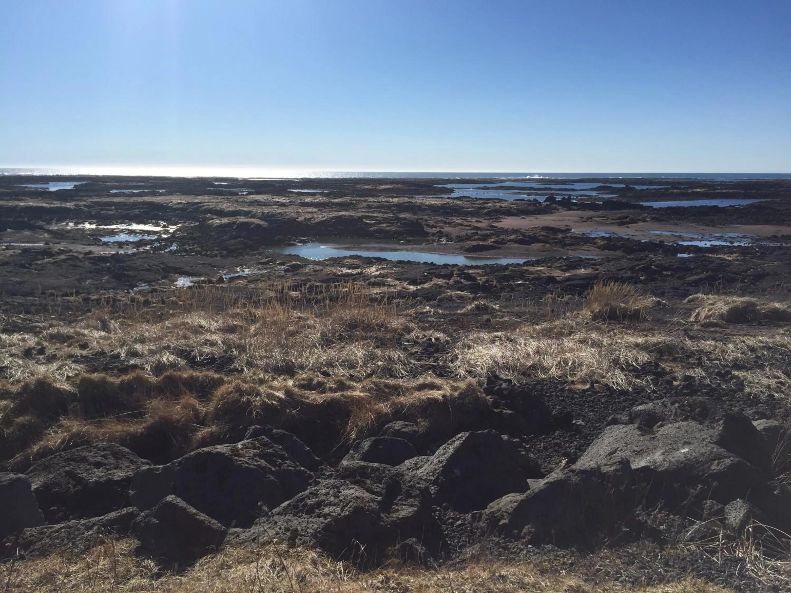 Ocean Beach Apartments