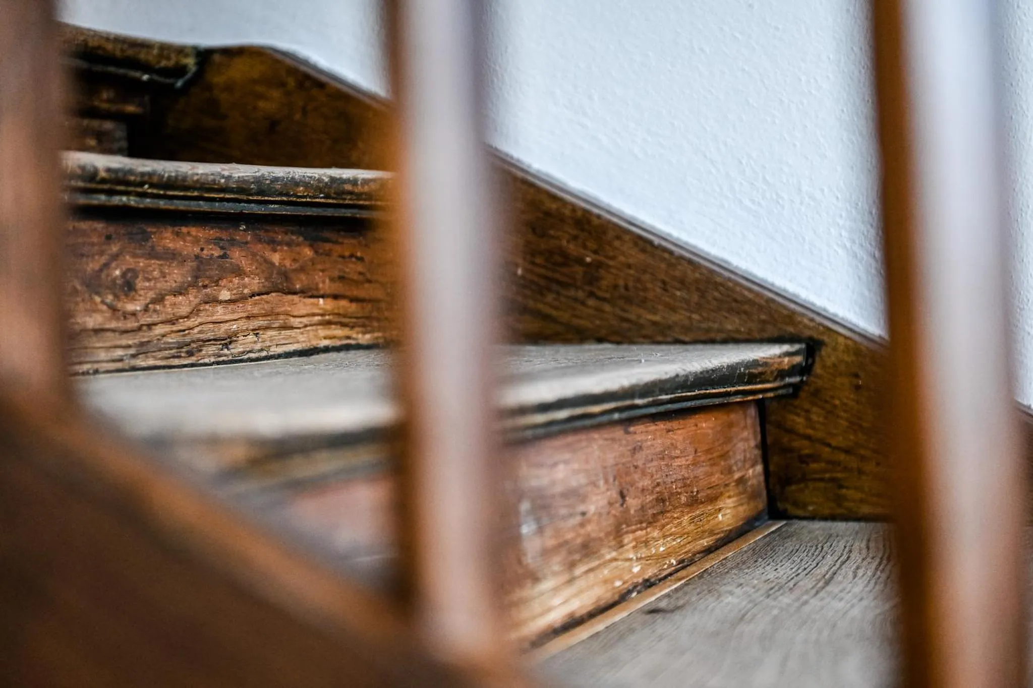 Area and facilities in Gasthaus zum Bauernhof