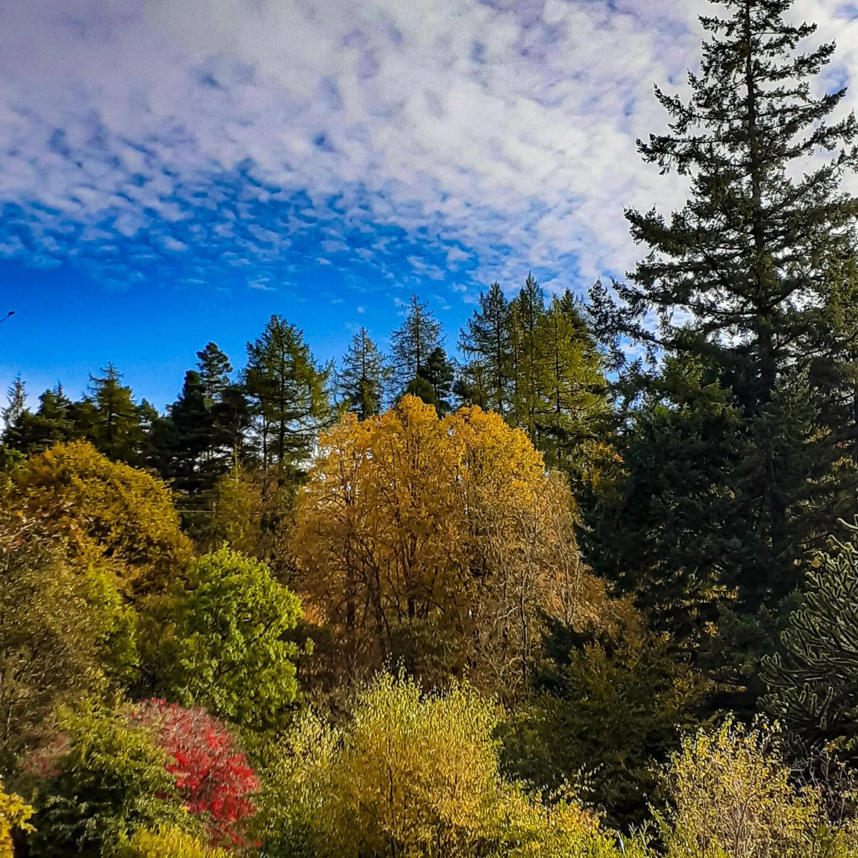 View (from property/room) in The White Stag Inn