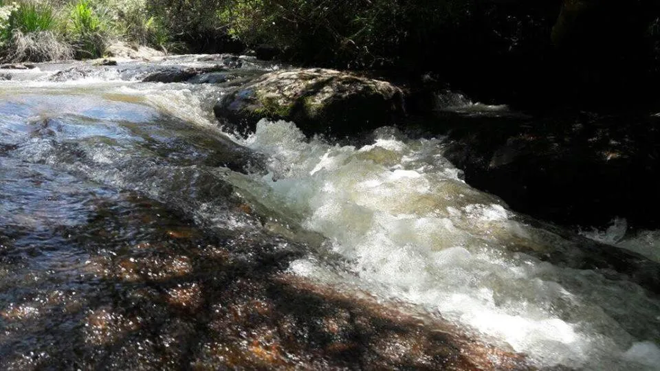 Entertainment in Pousada Chalés da Lua