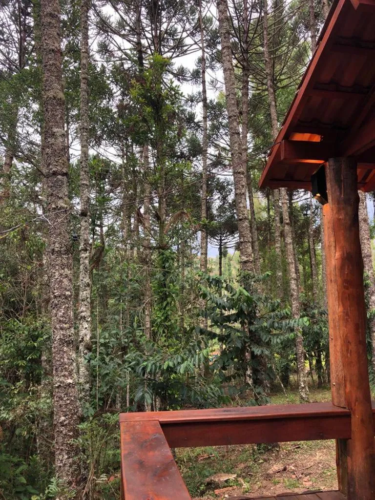 Restaurant/places to eat in Pousada Chalés da Lua