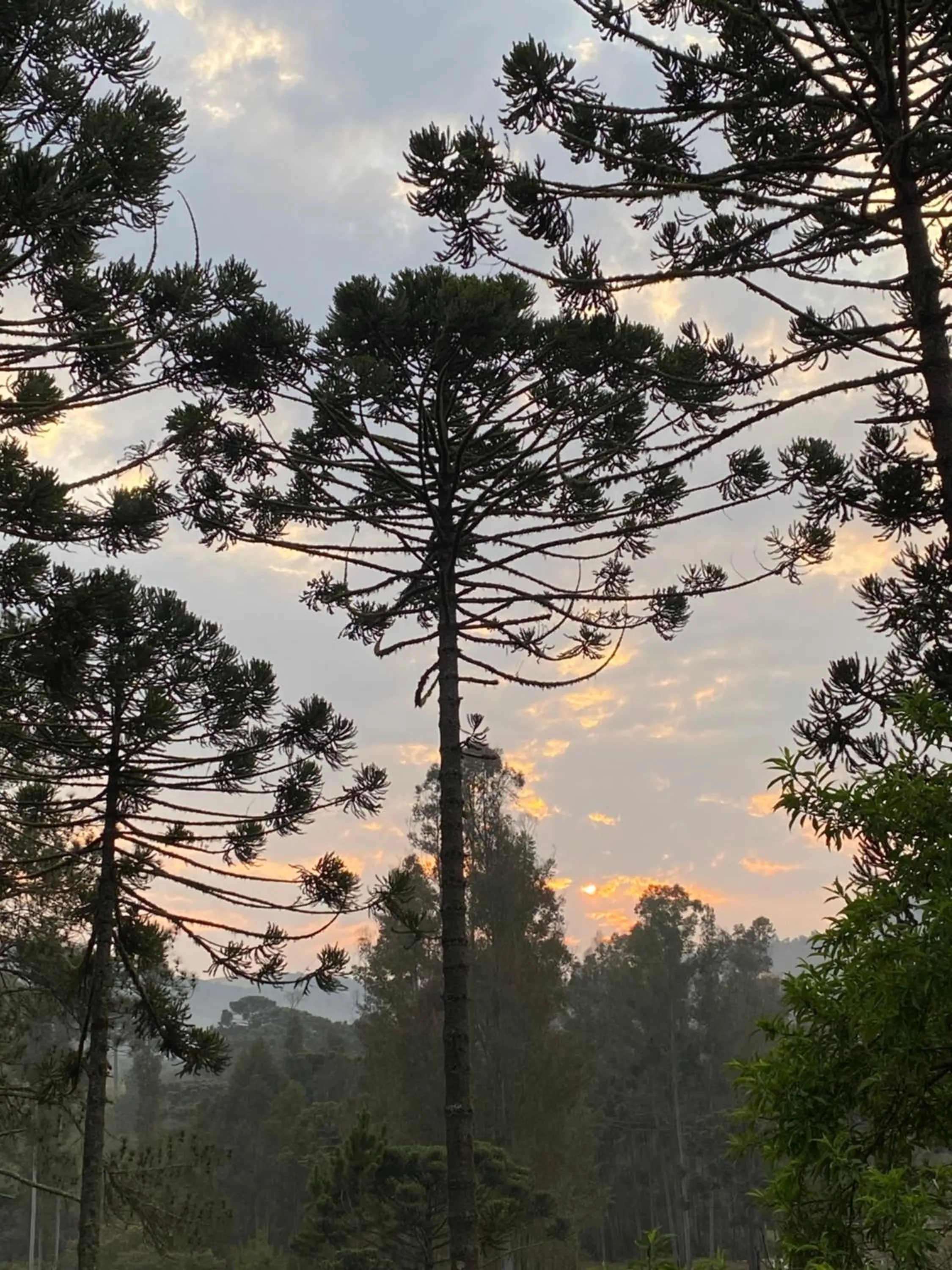 Spring in Pousada Chalés da Lua