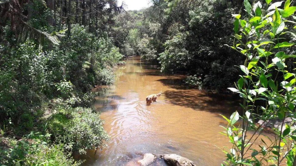 Swimming pool in Pousada Chalés da Lua
