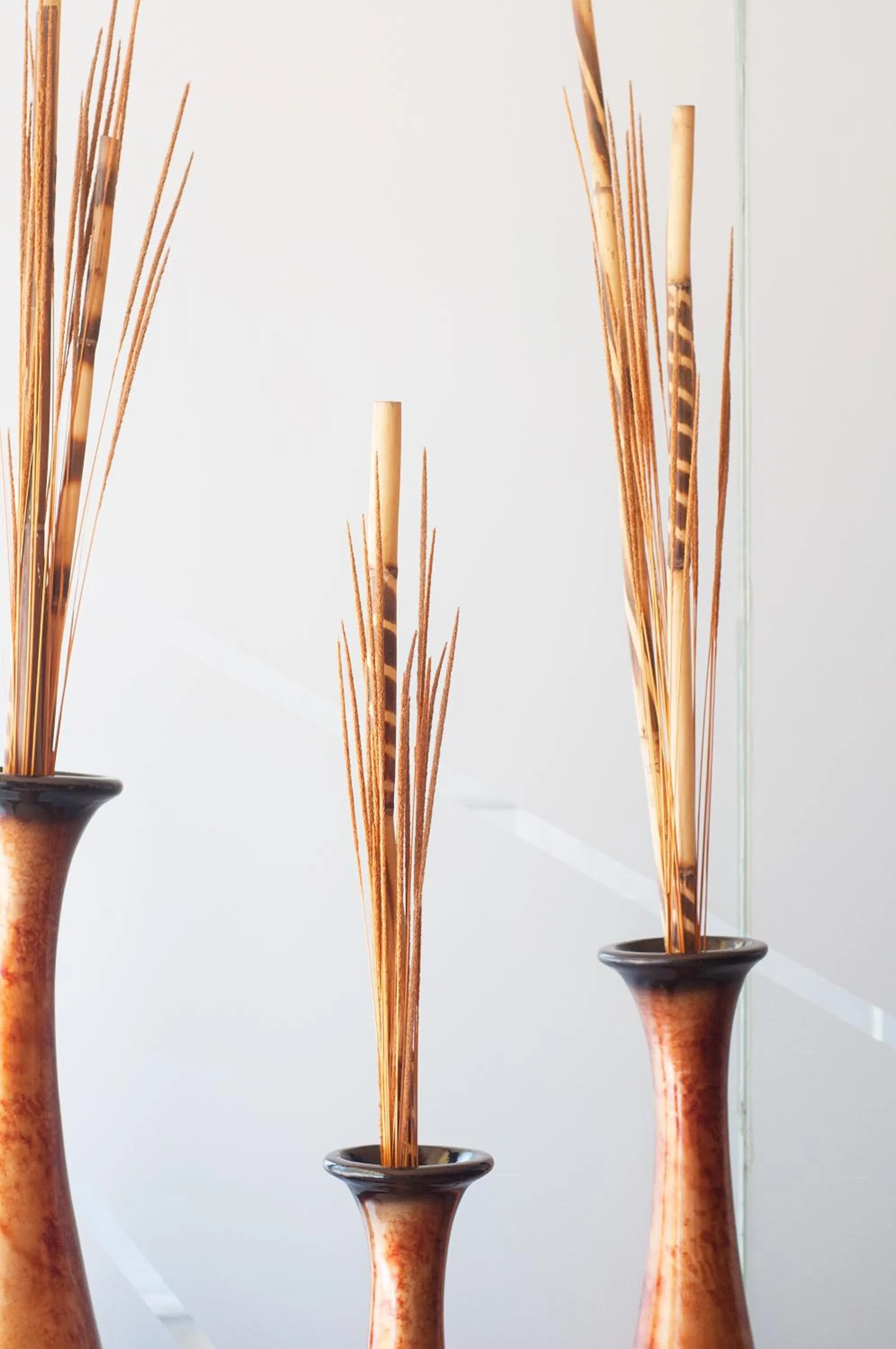 Sunset in Ibeurohotel Guadalajara Expo