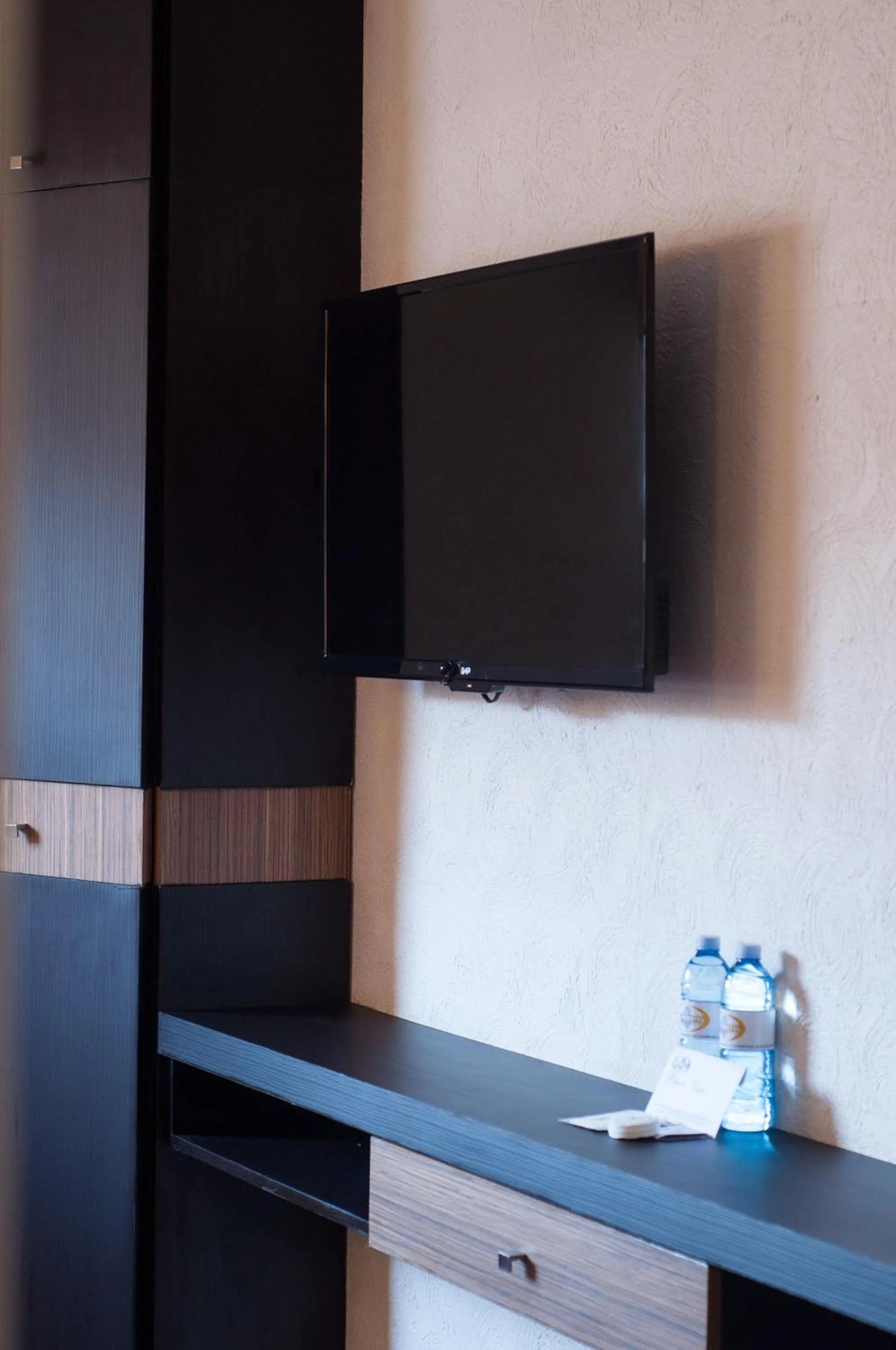 TV and multimedia in Ibeurohotel Guadalajara Expo