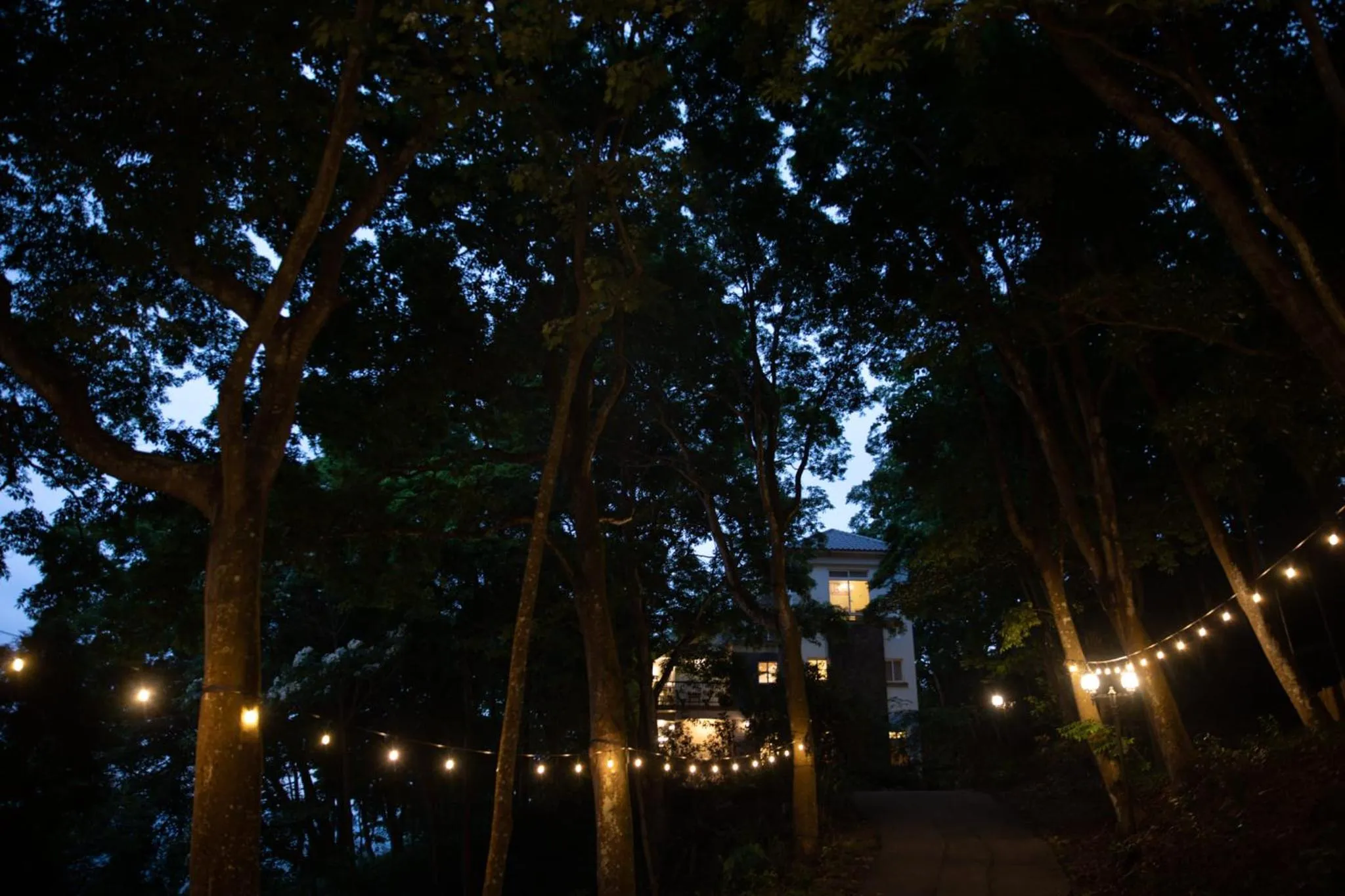 Property building in Green Wave Sanyi BY REINDEER