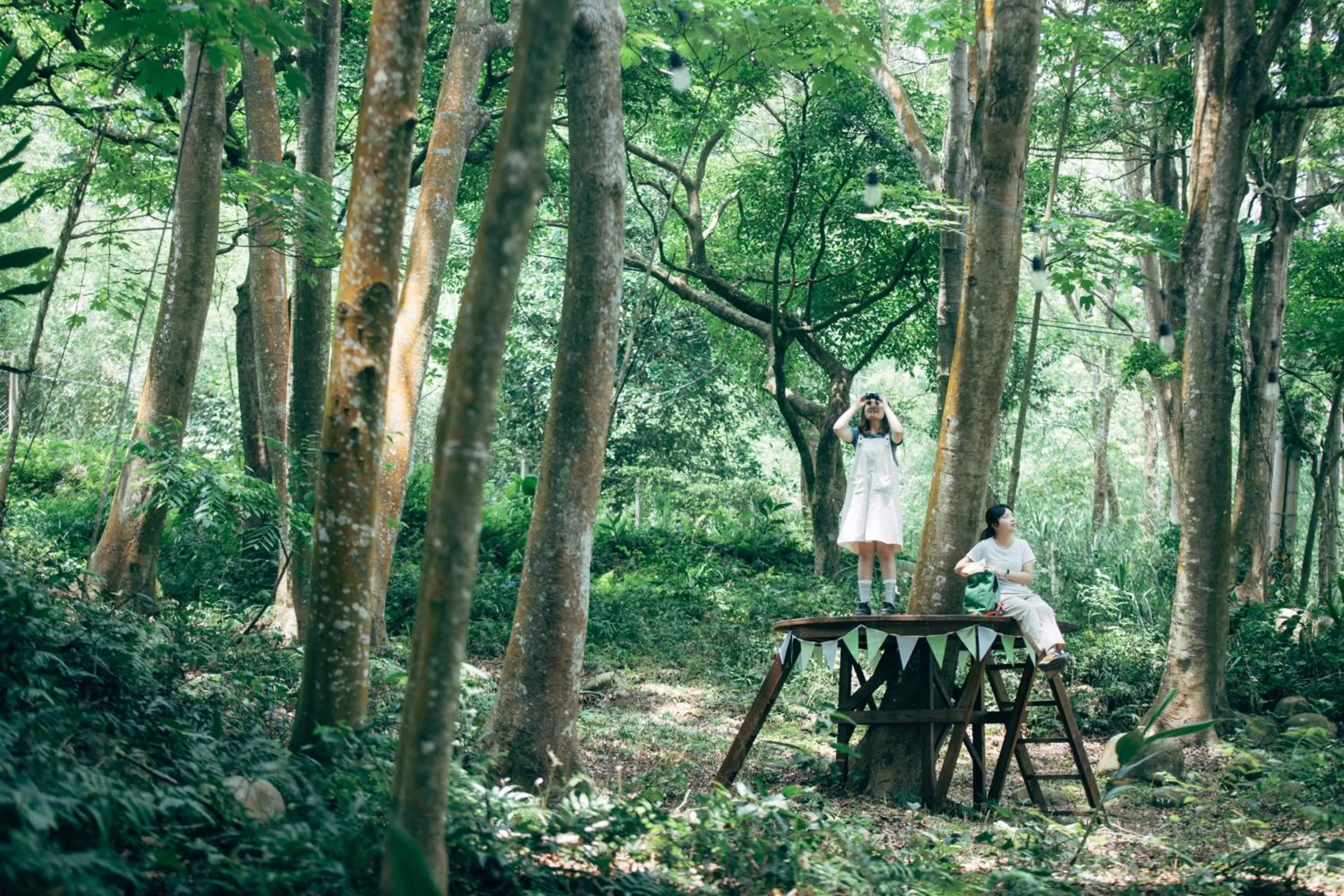 Natural landscape in Green Wave Sanyi BY REINDEER