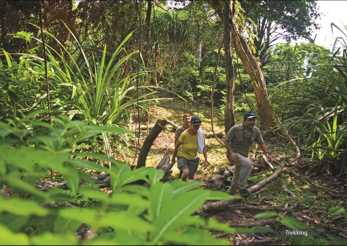 The Barefoot At Havelock