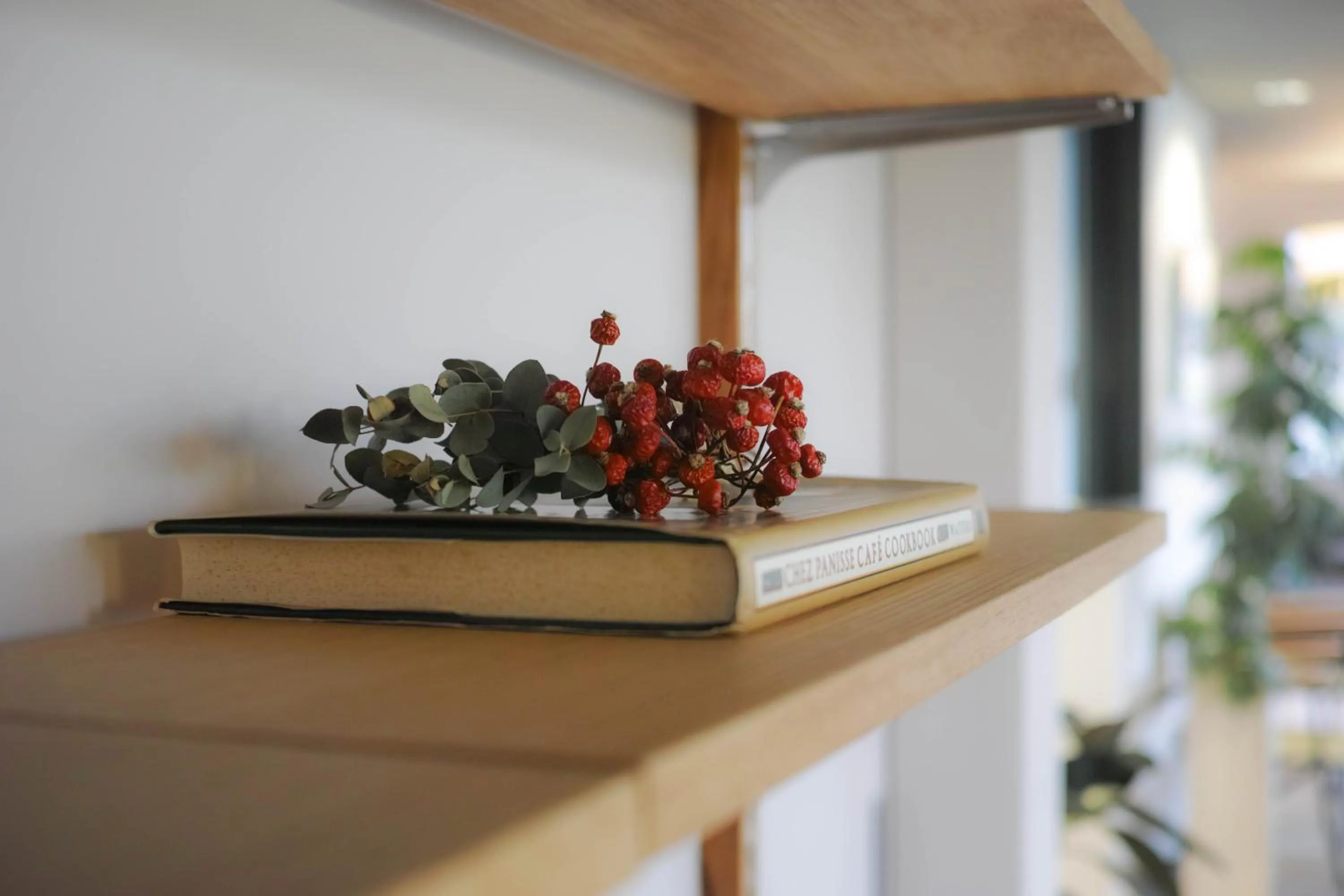 Lobby or reception in sararaso