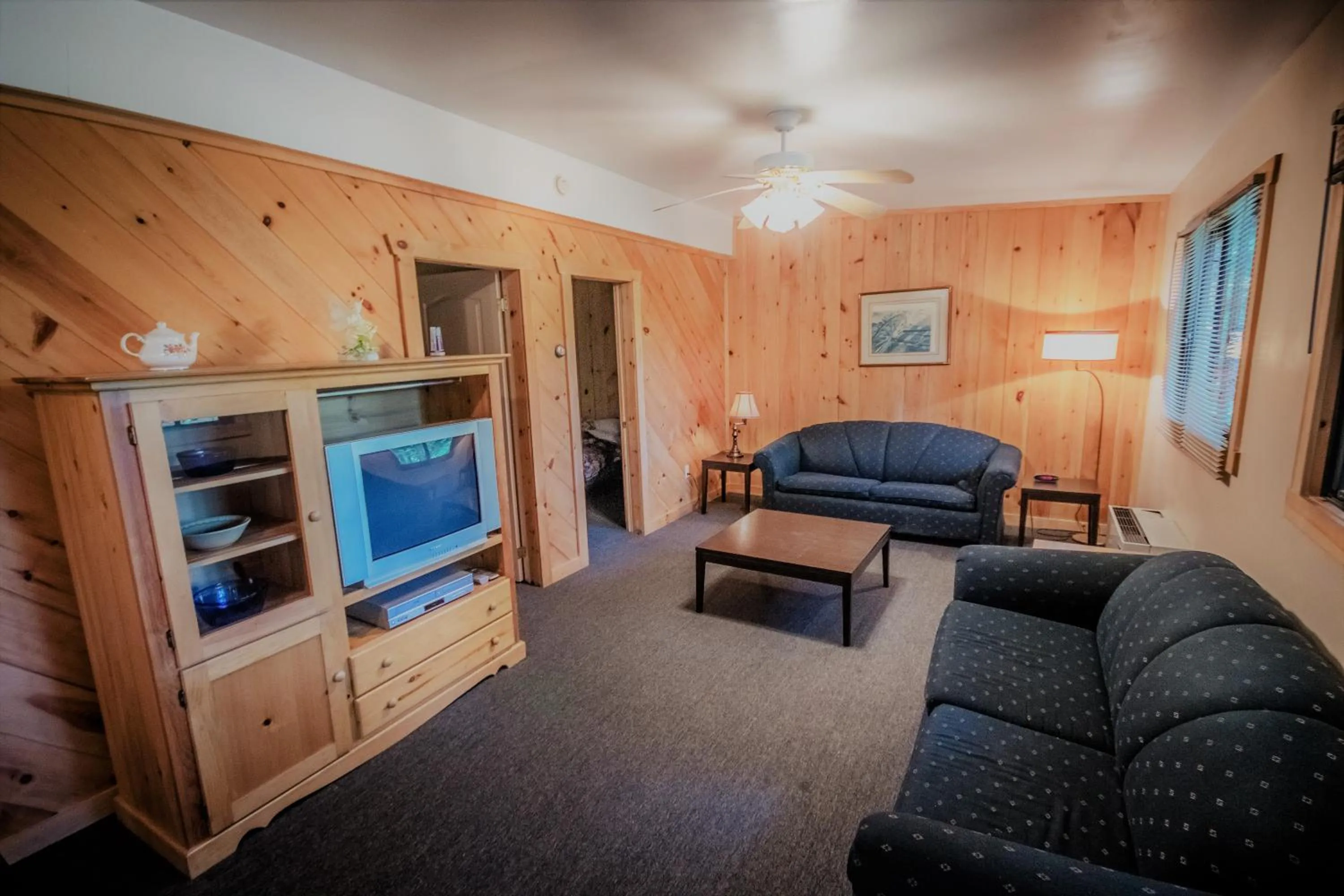 TV and multimedia in High Falls Bay Cottages, Camping & Waterpark
