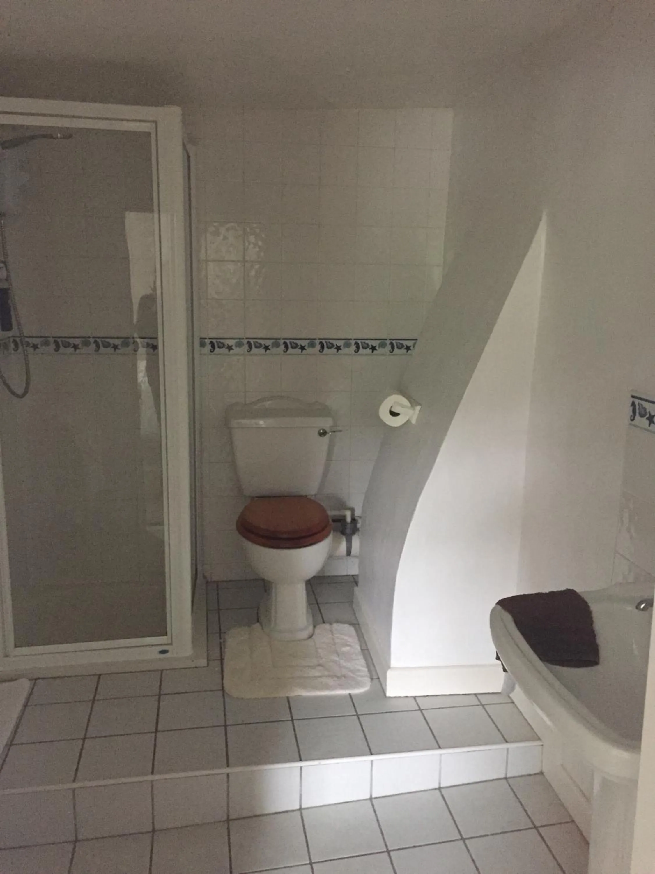 Shower in Red Lion Inn