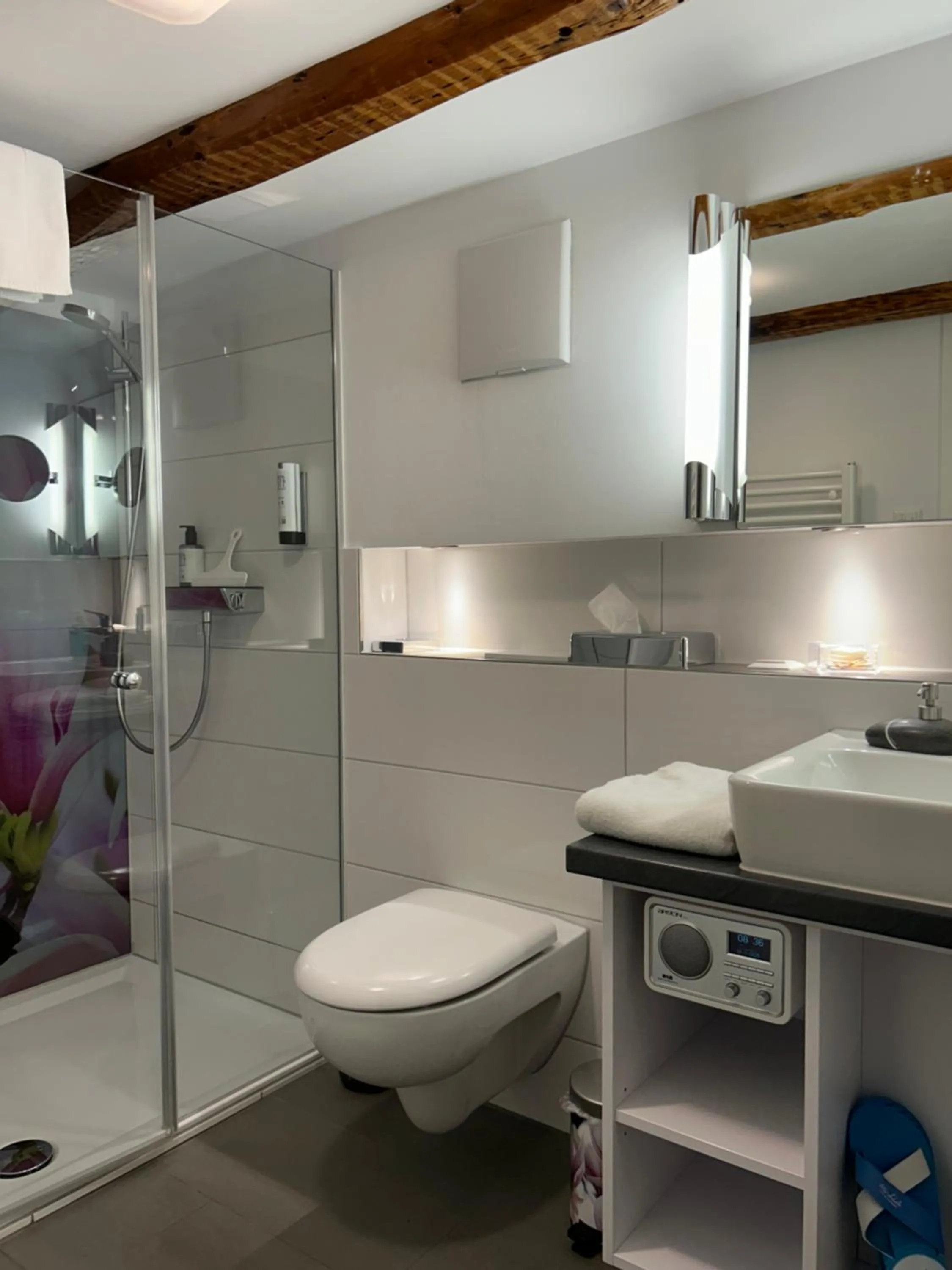 Toilet in Hotel Alte Schule