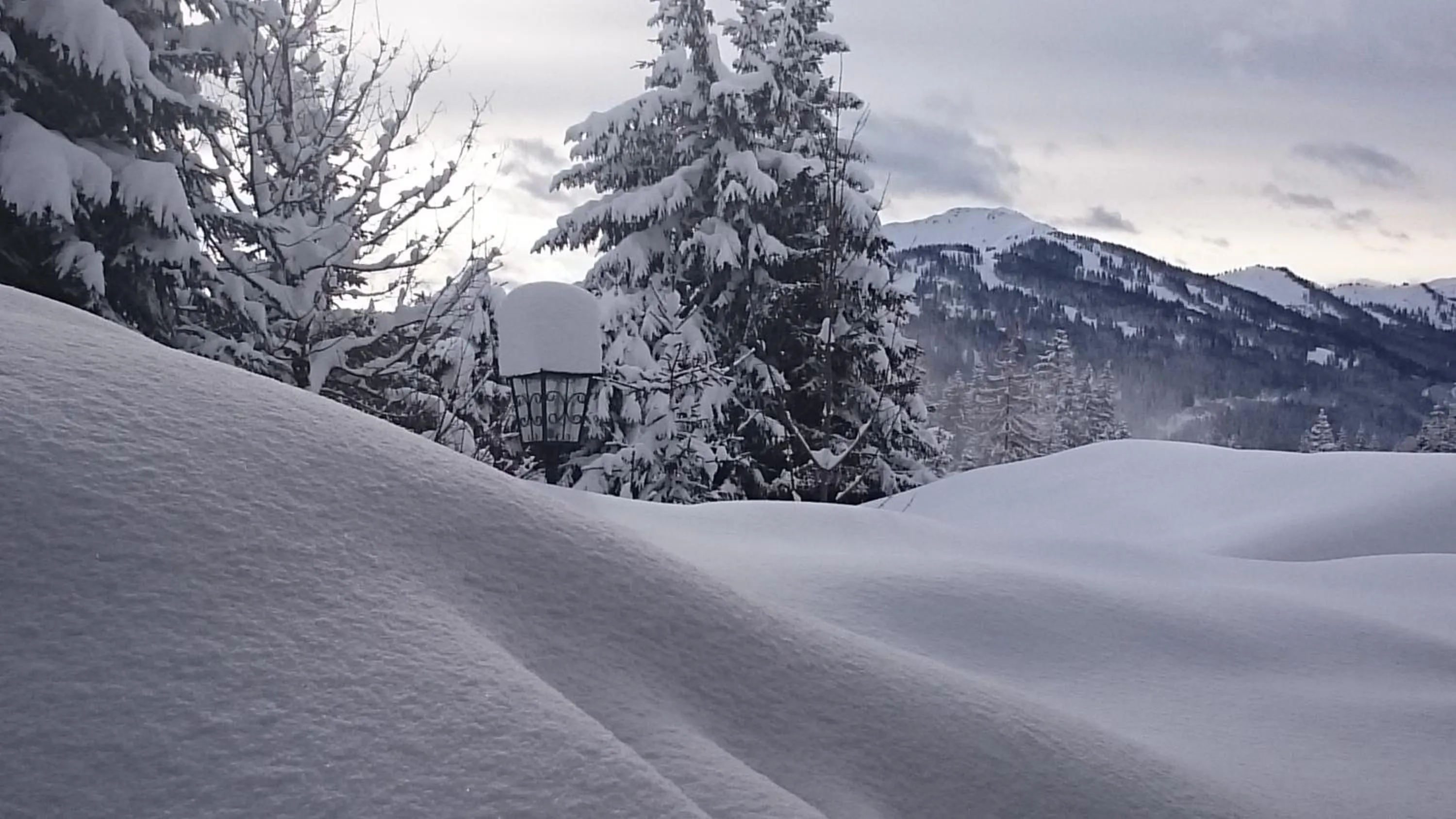 Natural landscape in Appartmenthaus Hochkönig