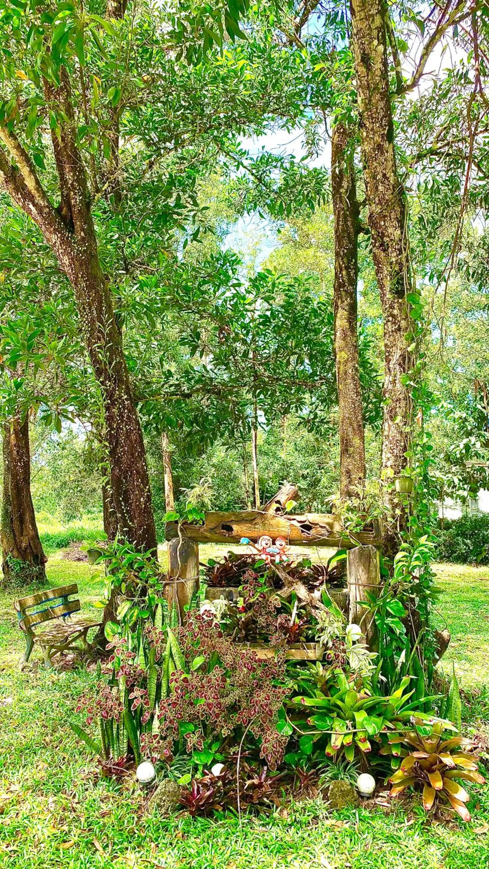 Natural landscape in Kuapa Resort