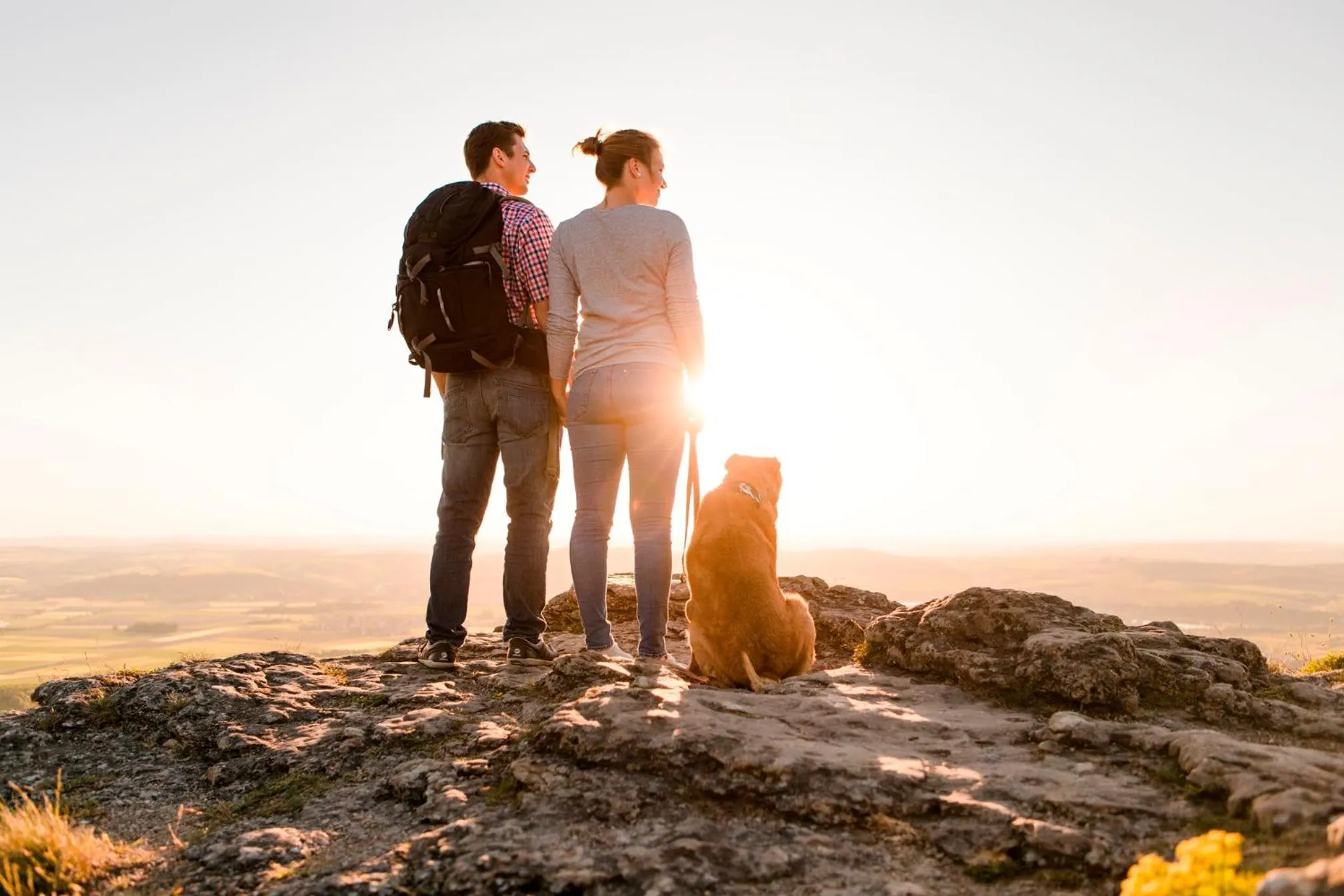 Area and facilities in Best Western Plus Kurhotel an der Obermaintherme