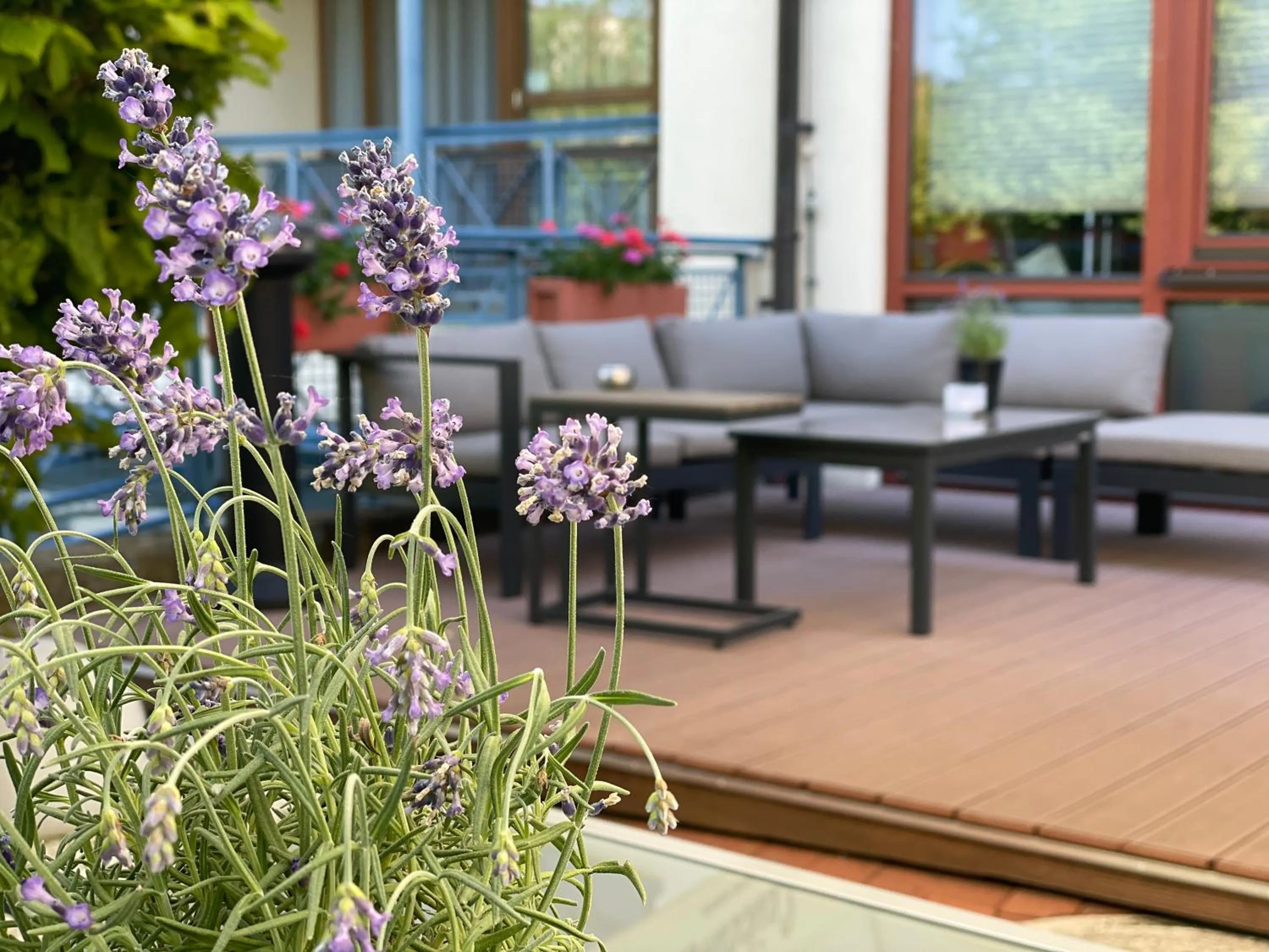 Balcony/Terrace in Best Western Plus Kurhotel an der Obermaintherme