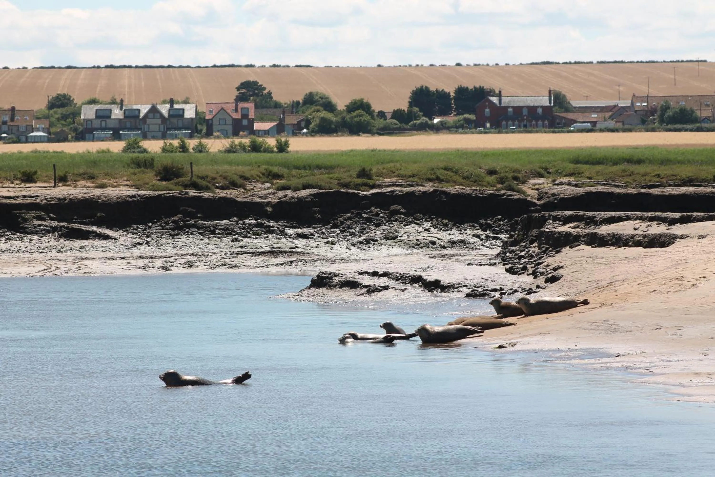 Hill Farm Bed and Breakfast