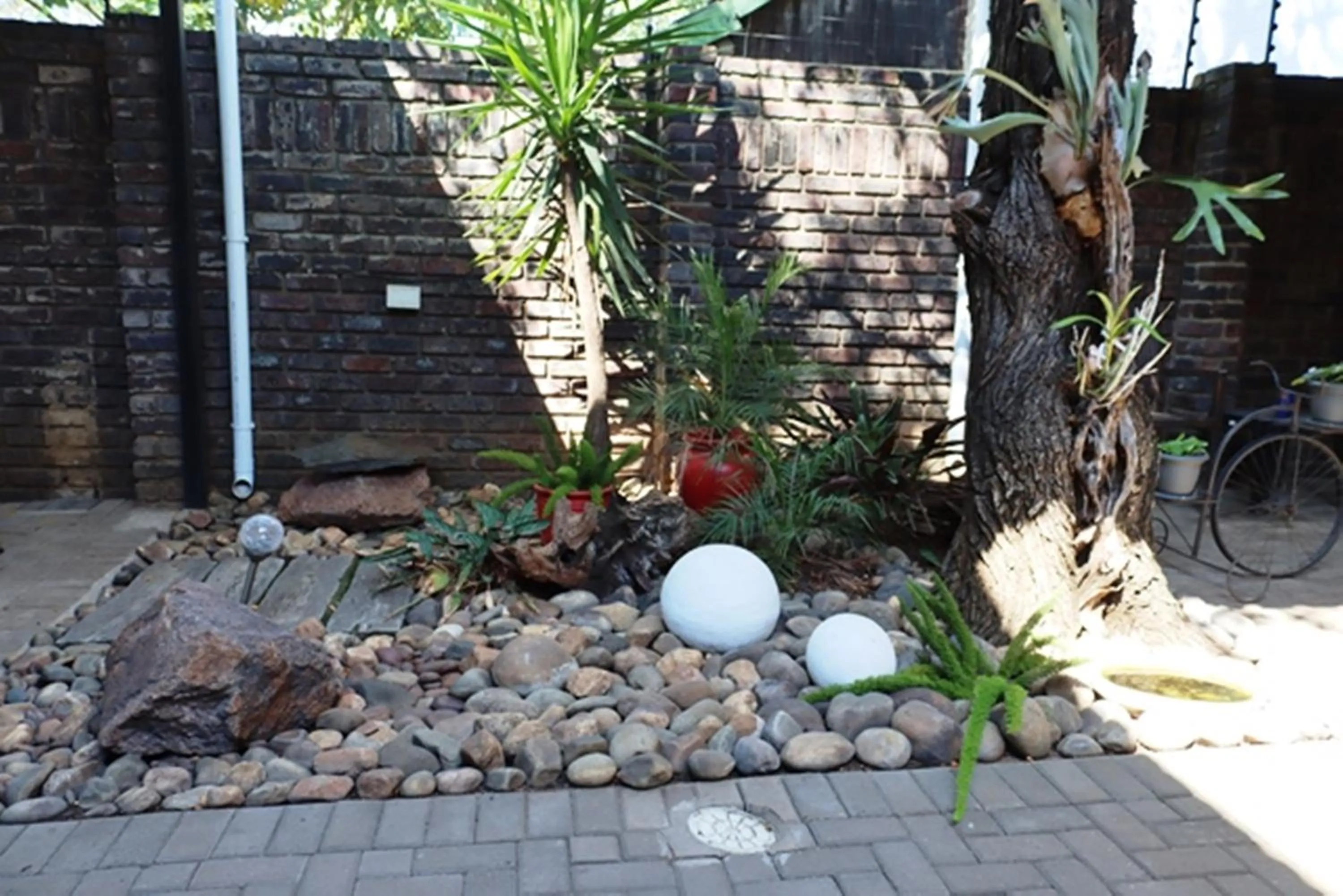 Garden in Royal Game Guest House