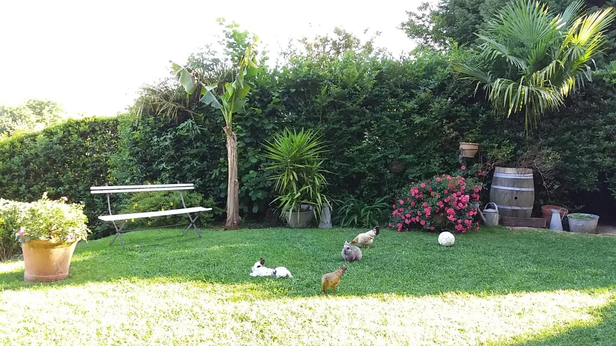 Garden in Villa La Croix Basque