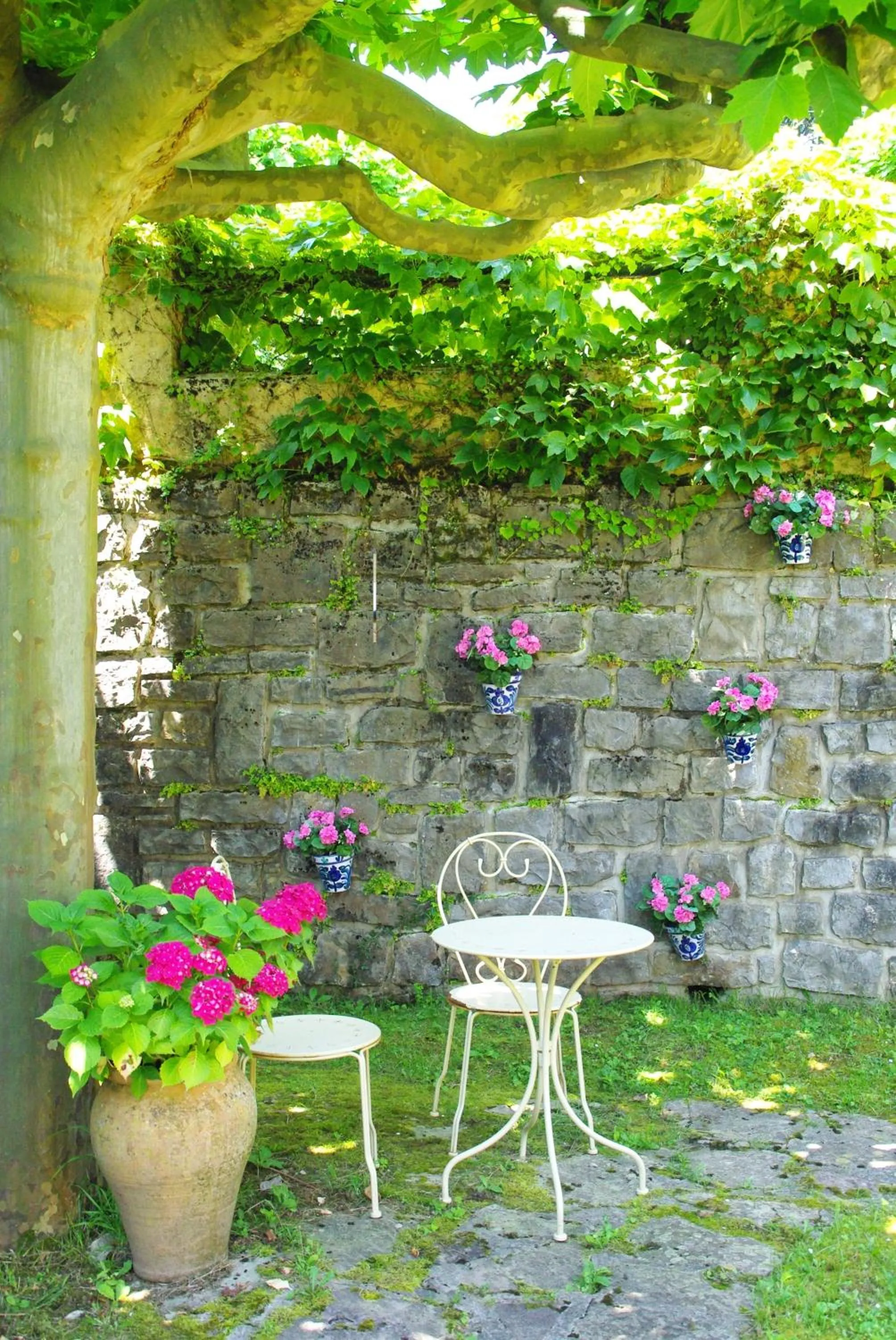 Garden in Villa La Croix Basque