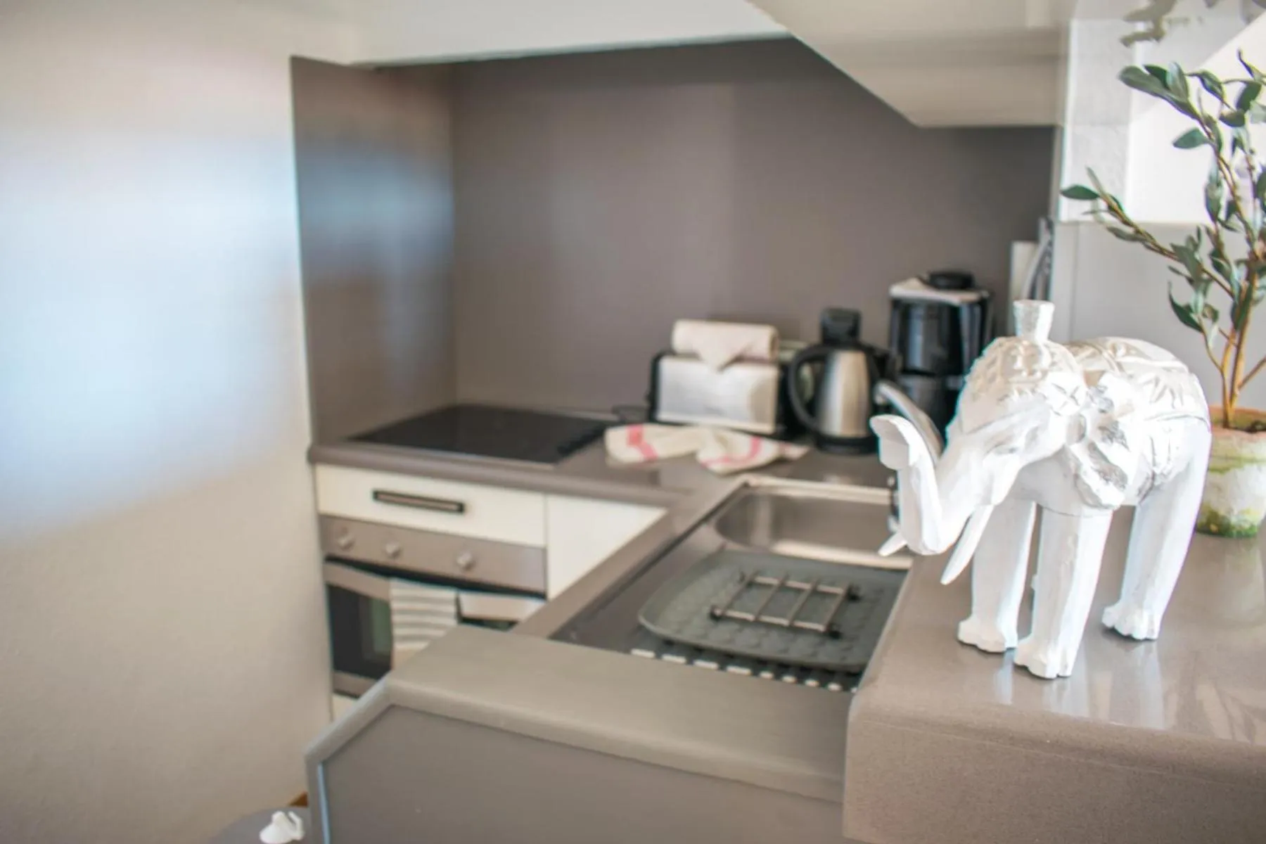 Kitchen or kitchenette in Los Geranios