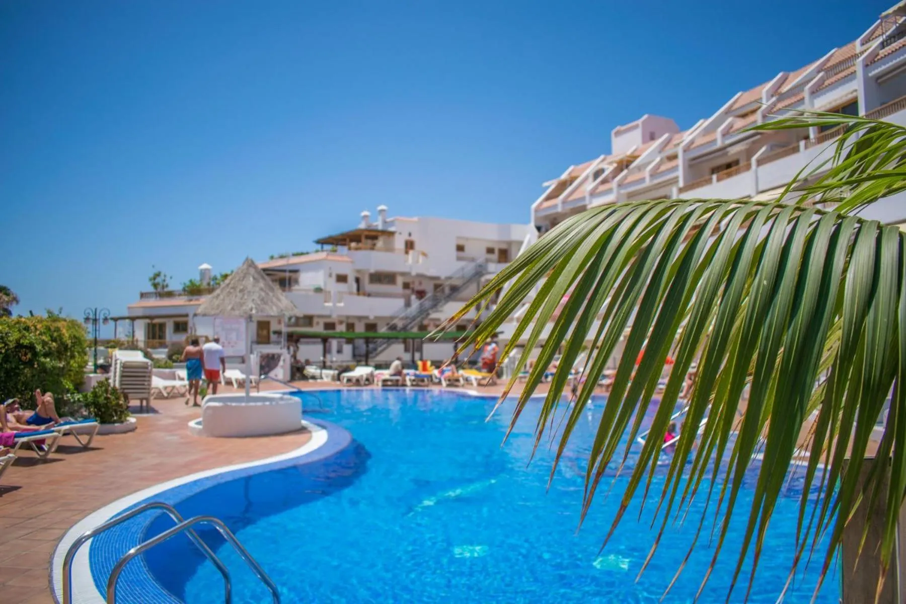 Swimming pool in Los Geranios