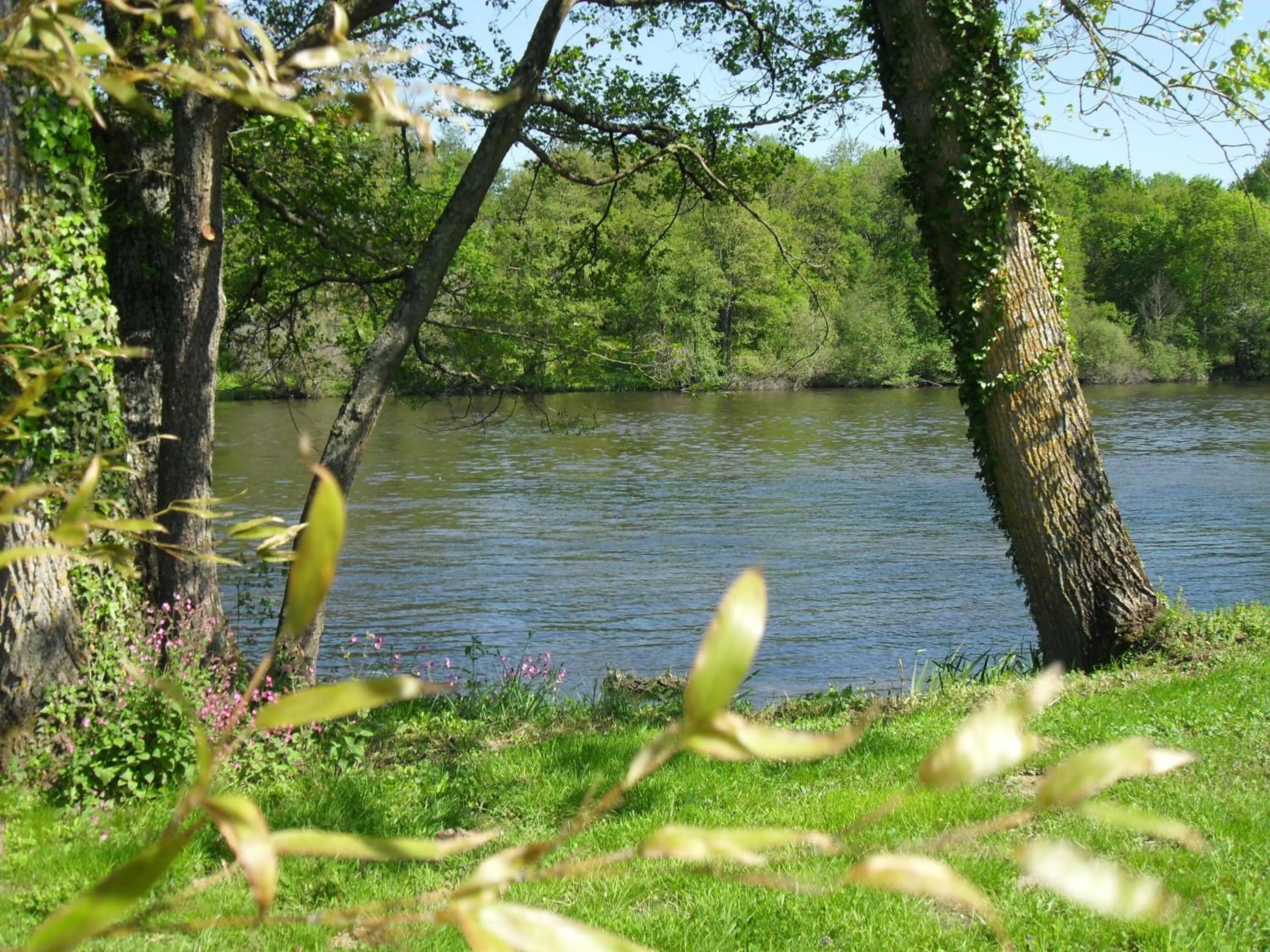 River view in Logis Hôtel Val de Vienne