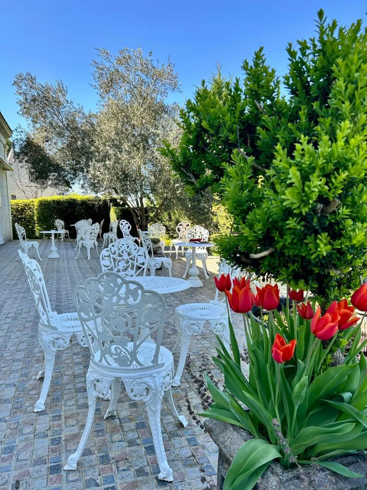 Logis Demeure de la Vignole