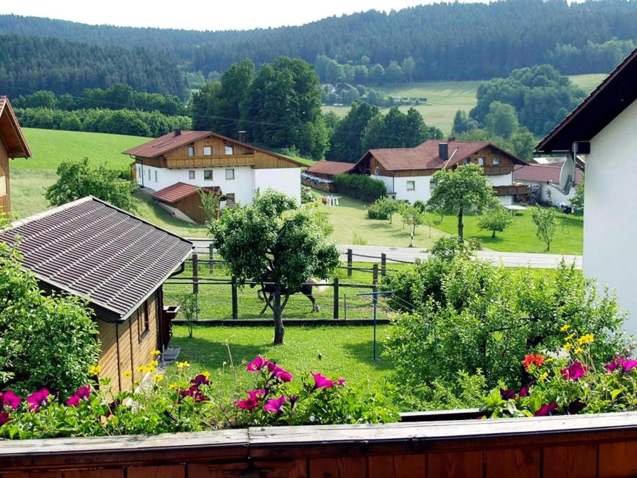 Other in Fischer Willi