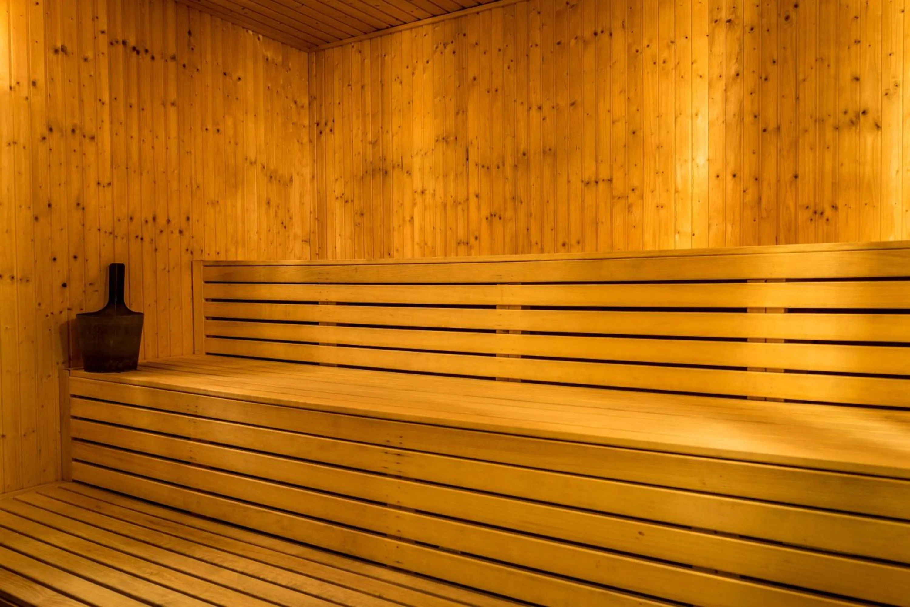 Sauna in Scandic Backadal