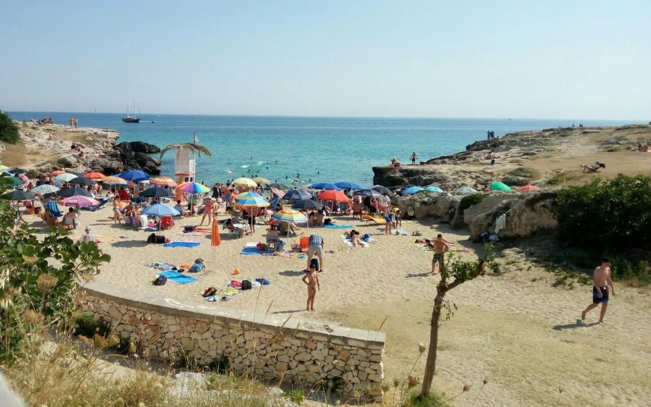 Summer in La rosa di Rebecca