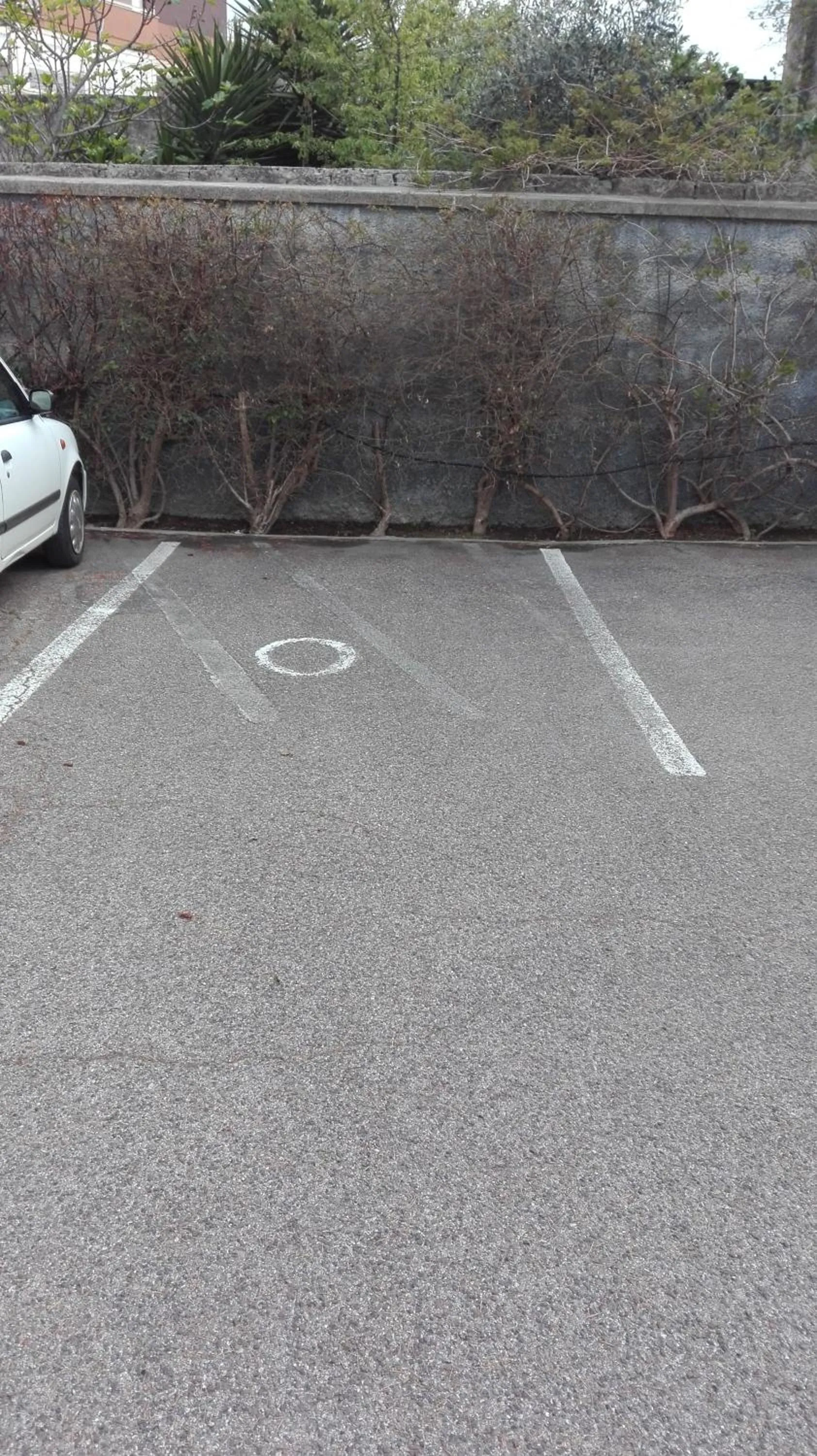 Area and facilities in La rosa di Rebecca