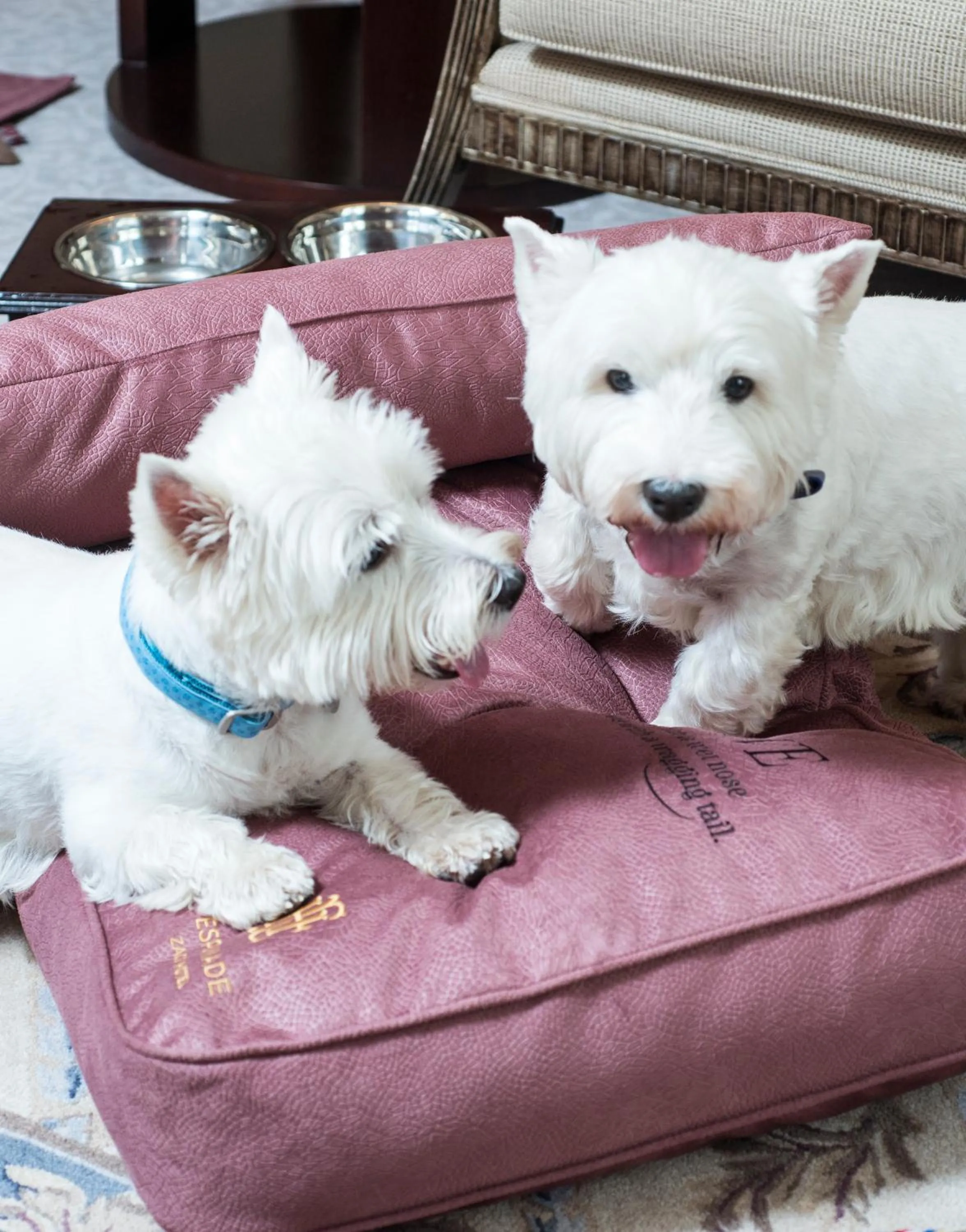 Bedroom in Esplanade Zagreb Hotel