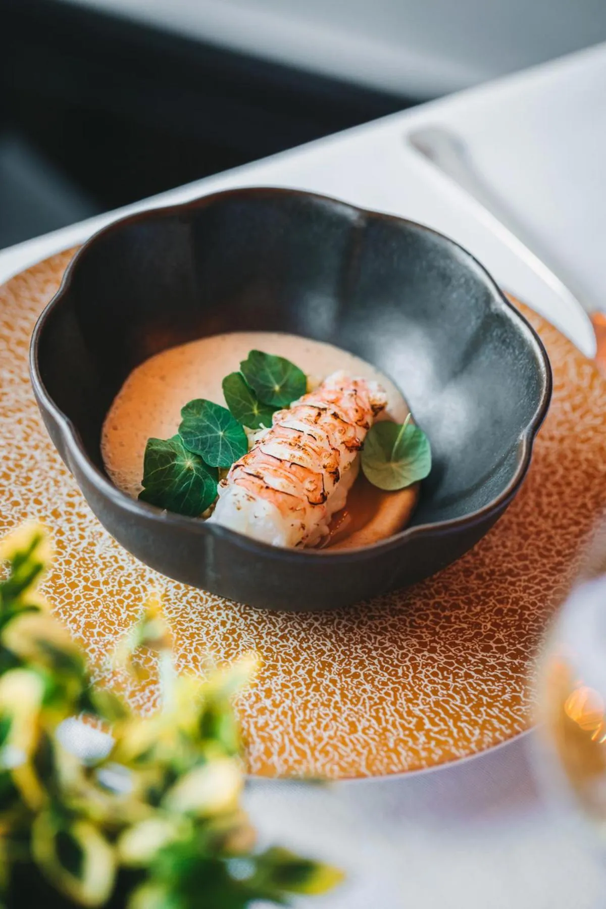 Food and drinks in Esplanade Zagreb Hotel