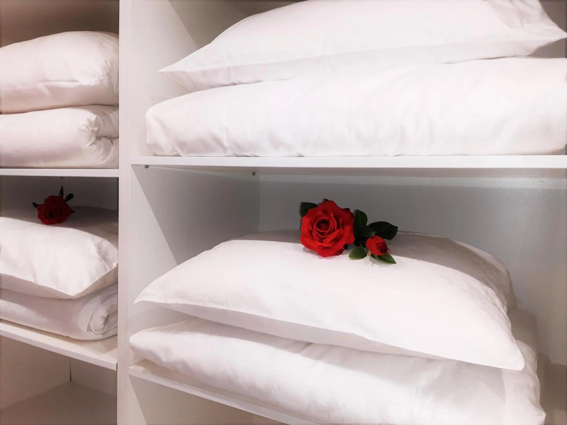 towels, Bed in Albina apartman