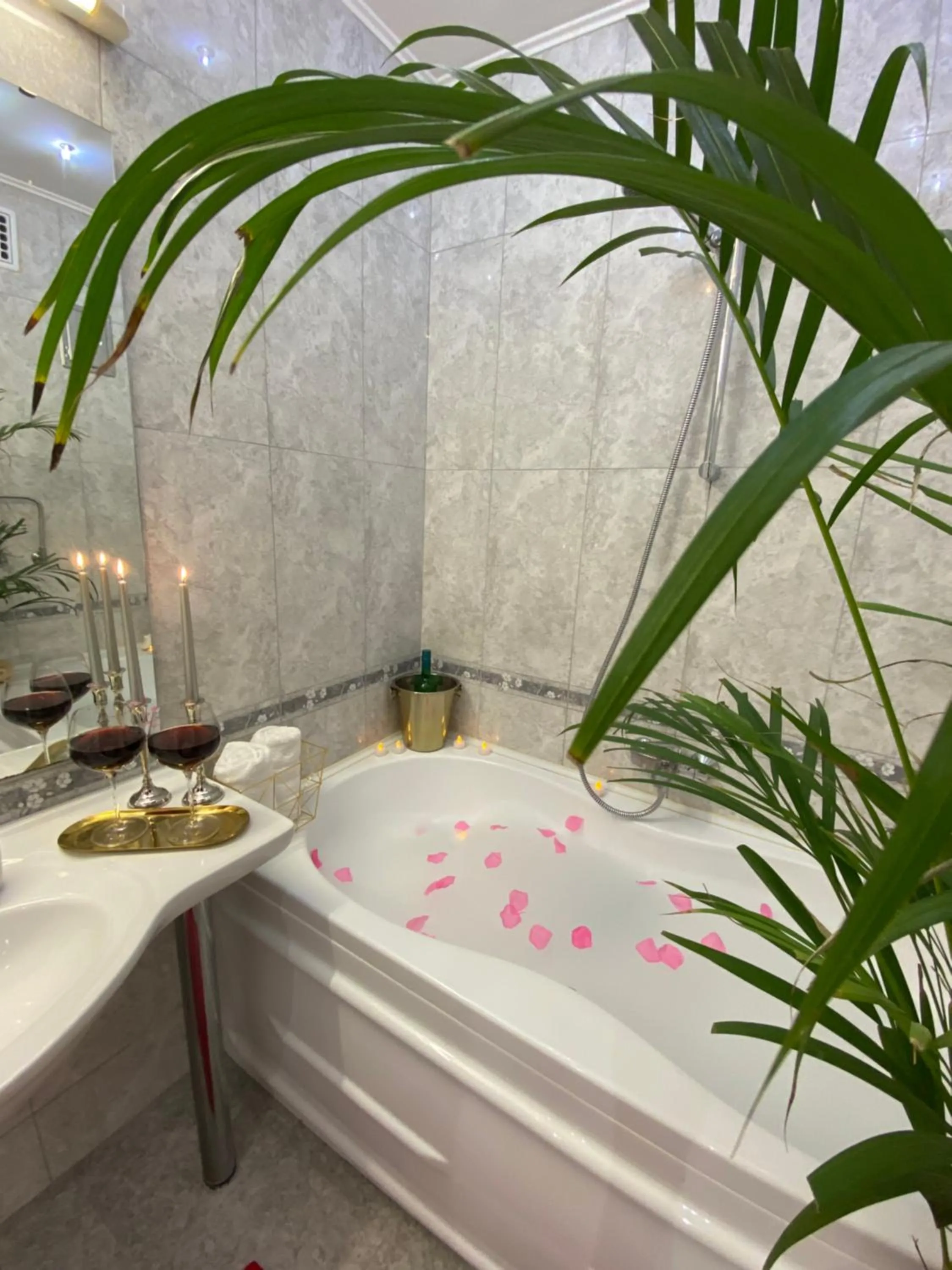 Swimming pool in Albina apartman